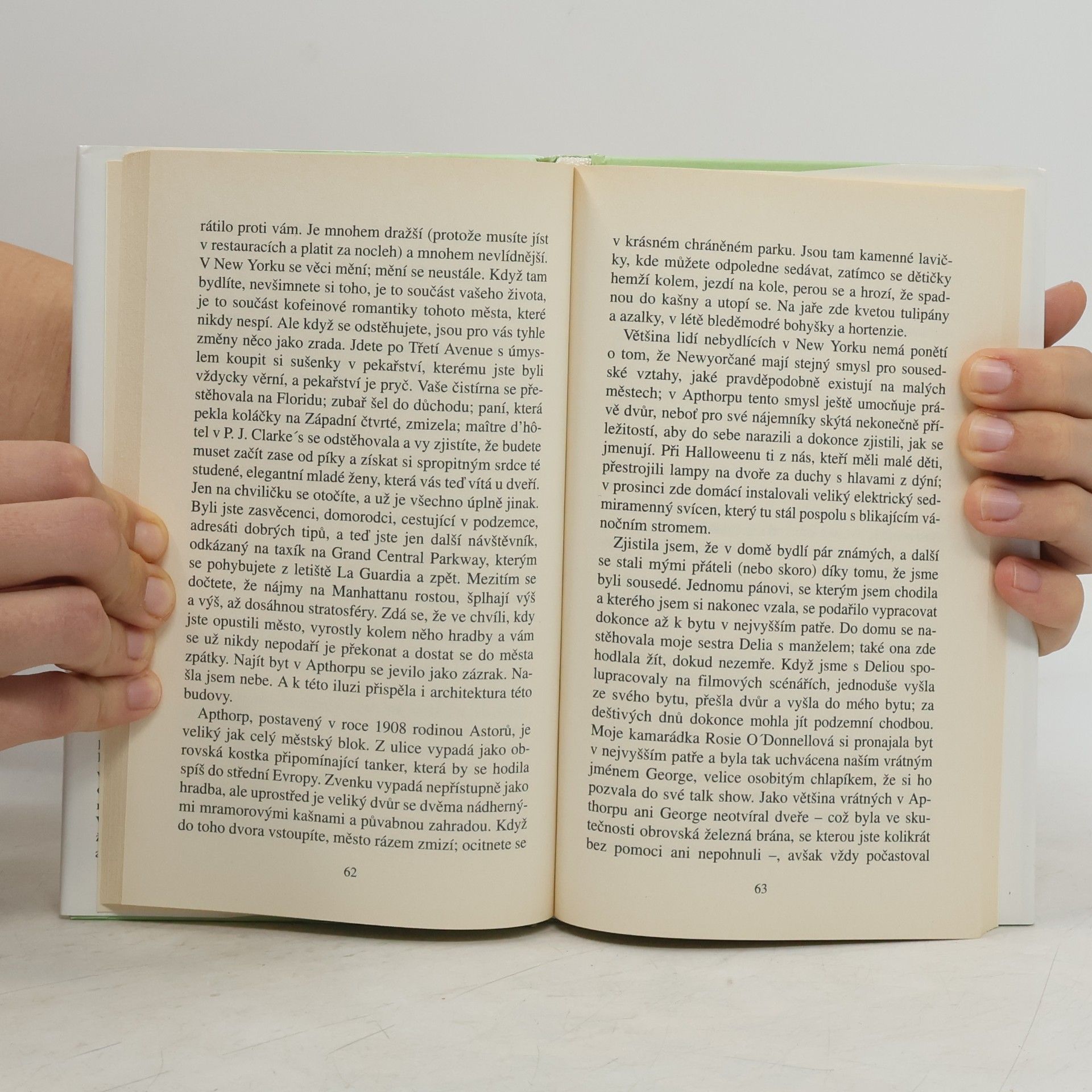 Nora Ephron Nesnáším svůj krk, aneb, Postřehy ze života ženy