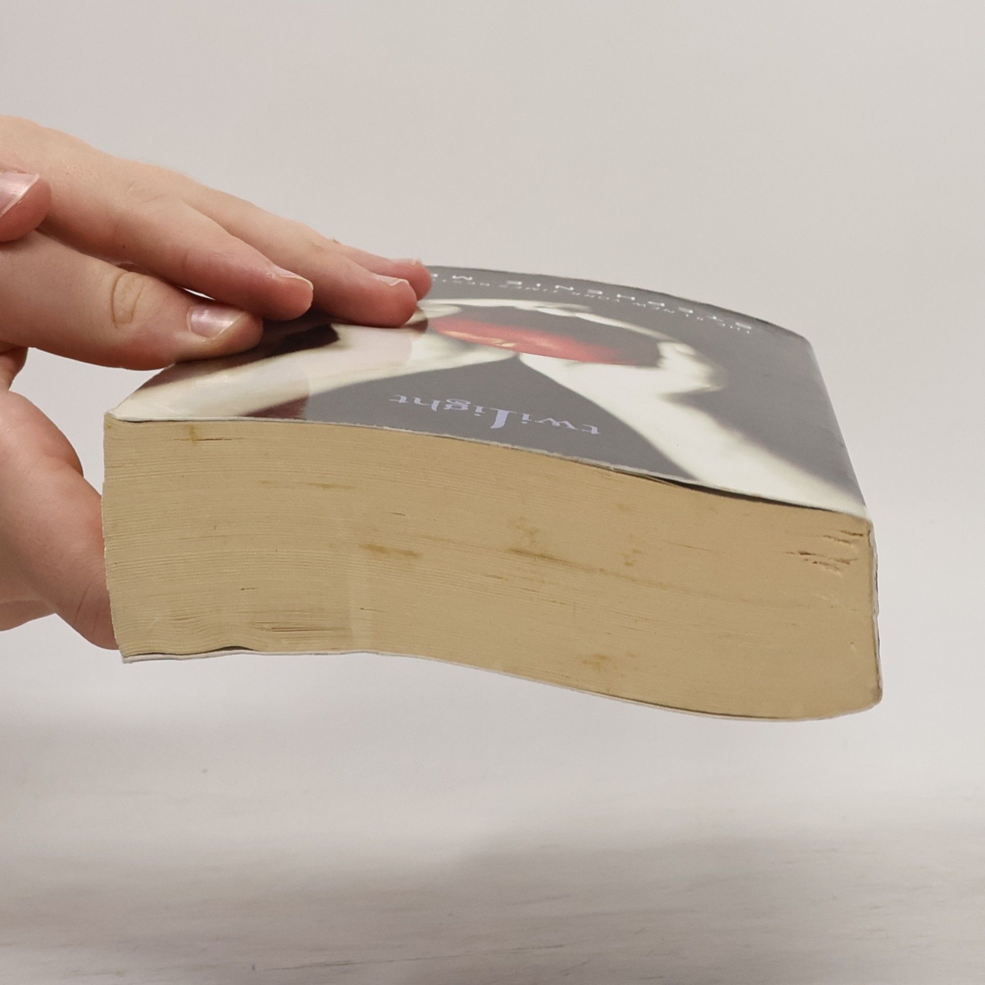 Stephenie Meyer Twilight
