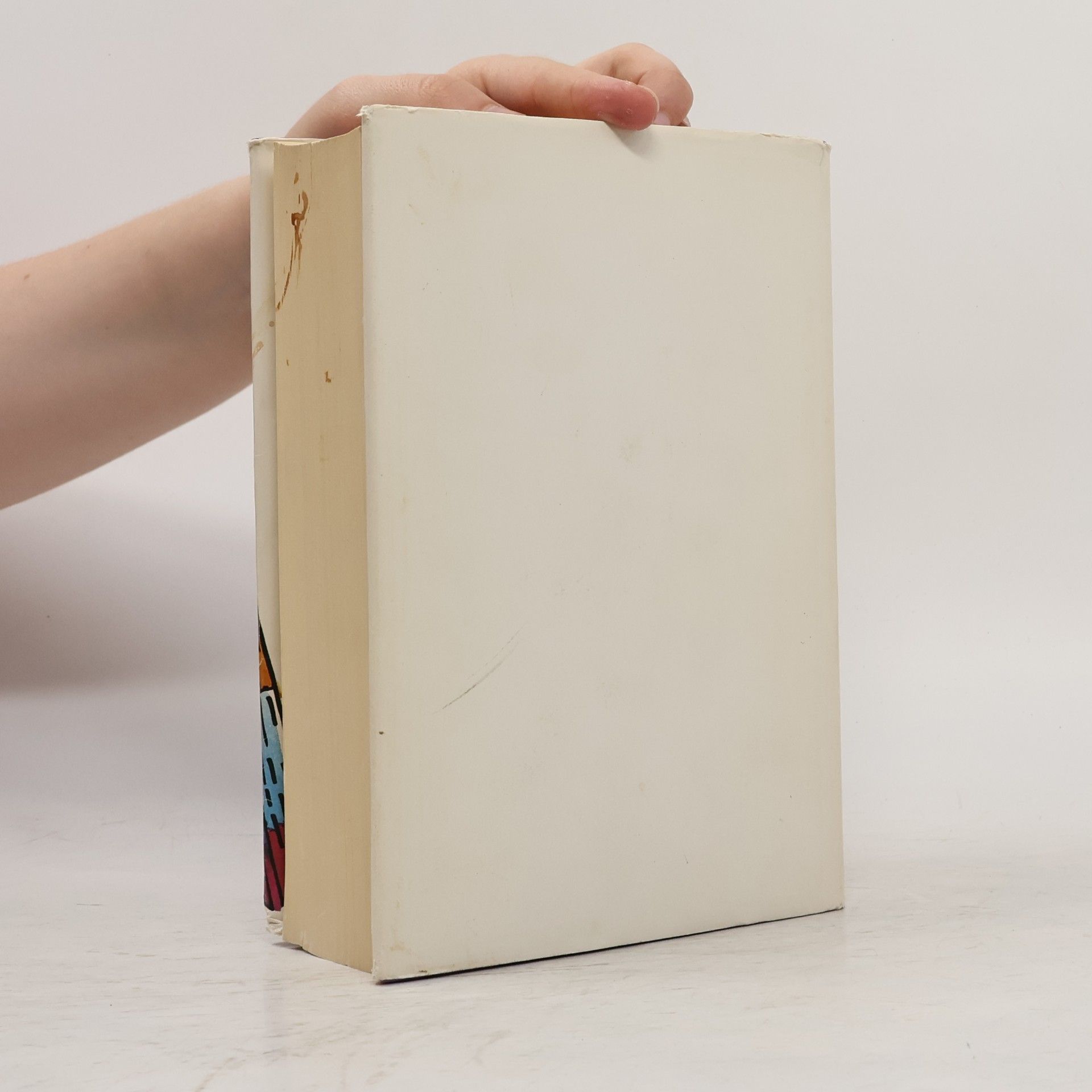 Tom Wolfe Fegefeuer der Eitelkeiten