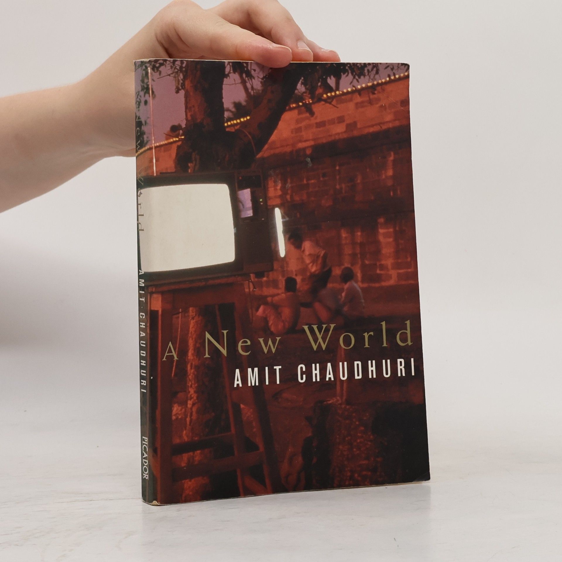 Amit Chaudhuri A New World