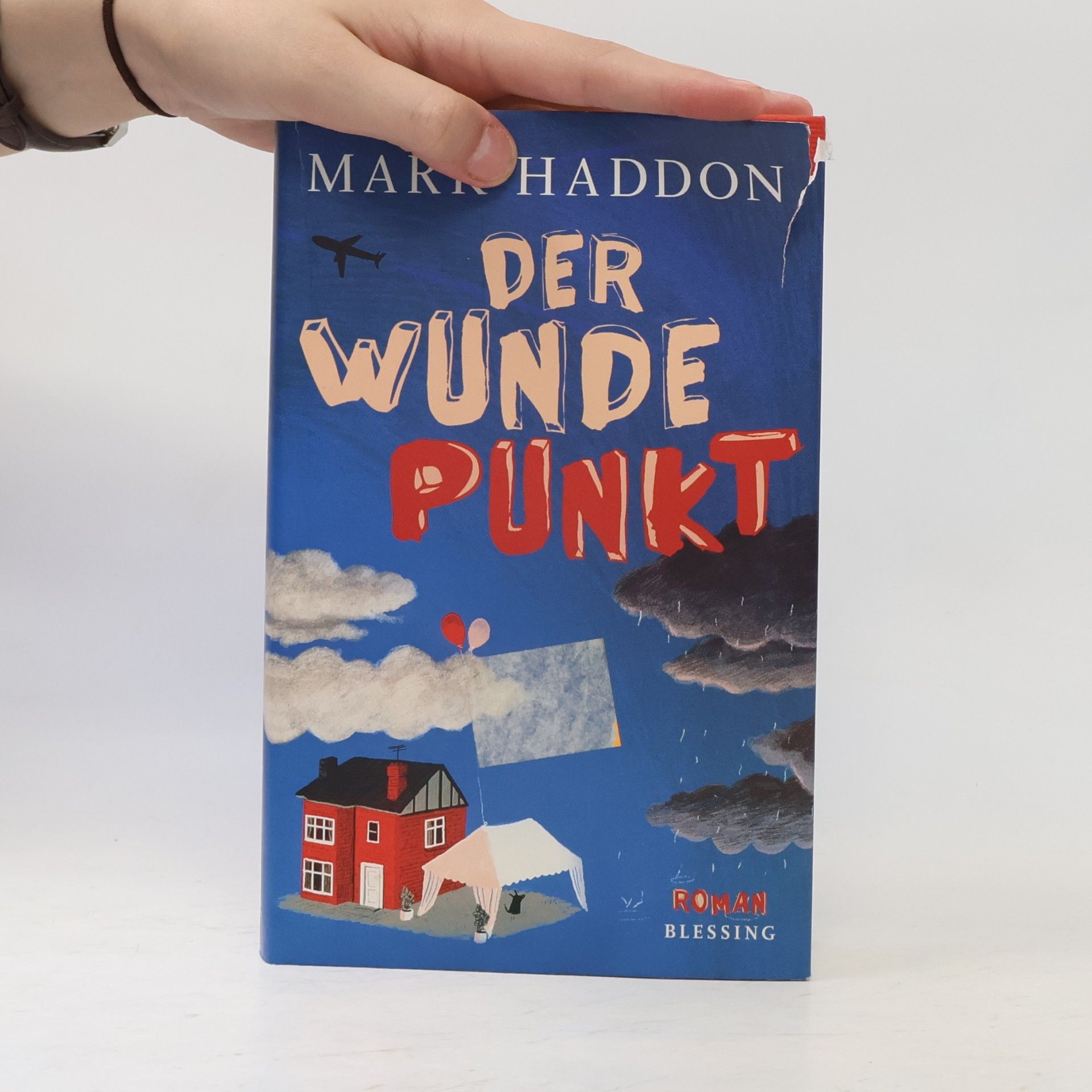 Mark Haddon Der wunde Punkt