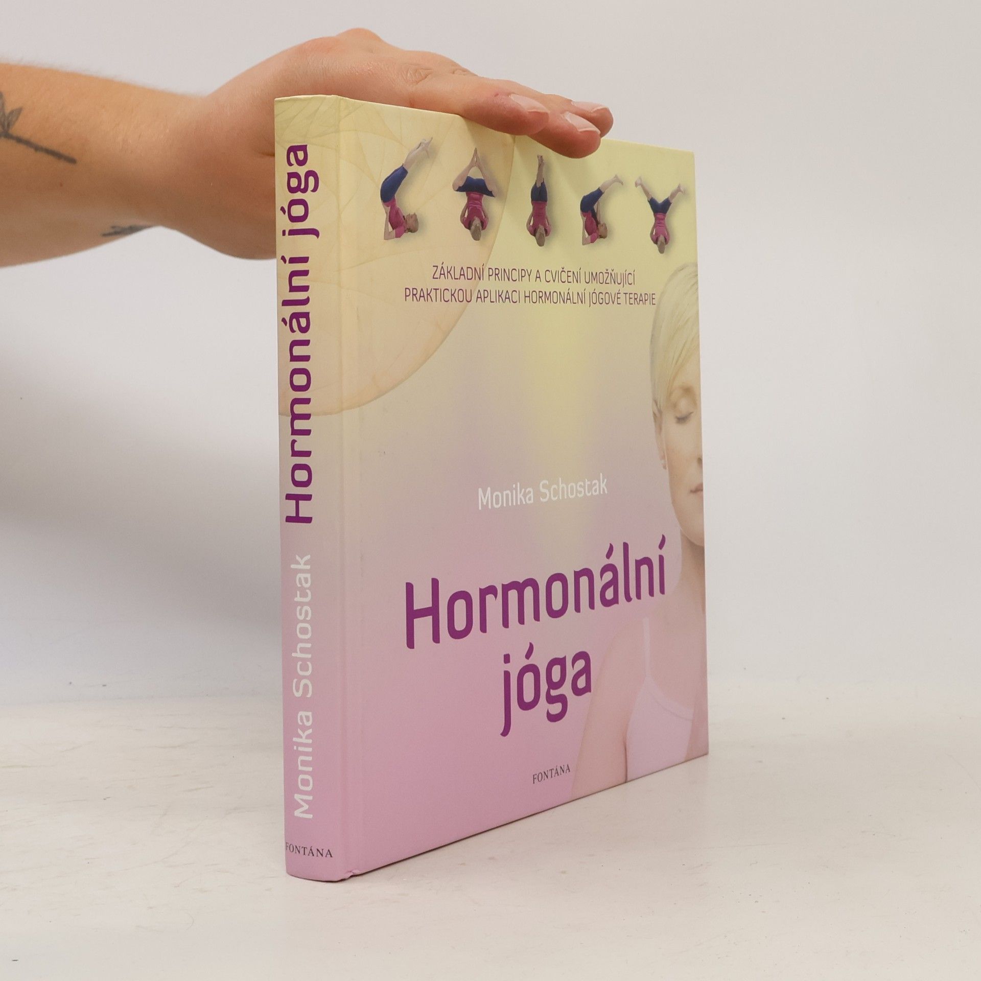 Alette Borgböhmer Hormonální jóga