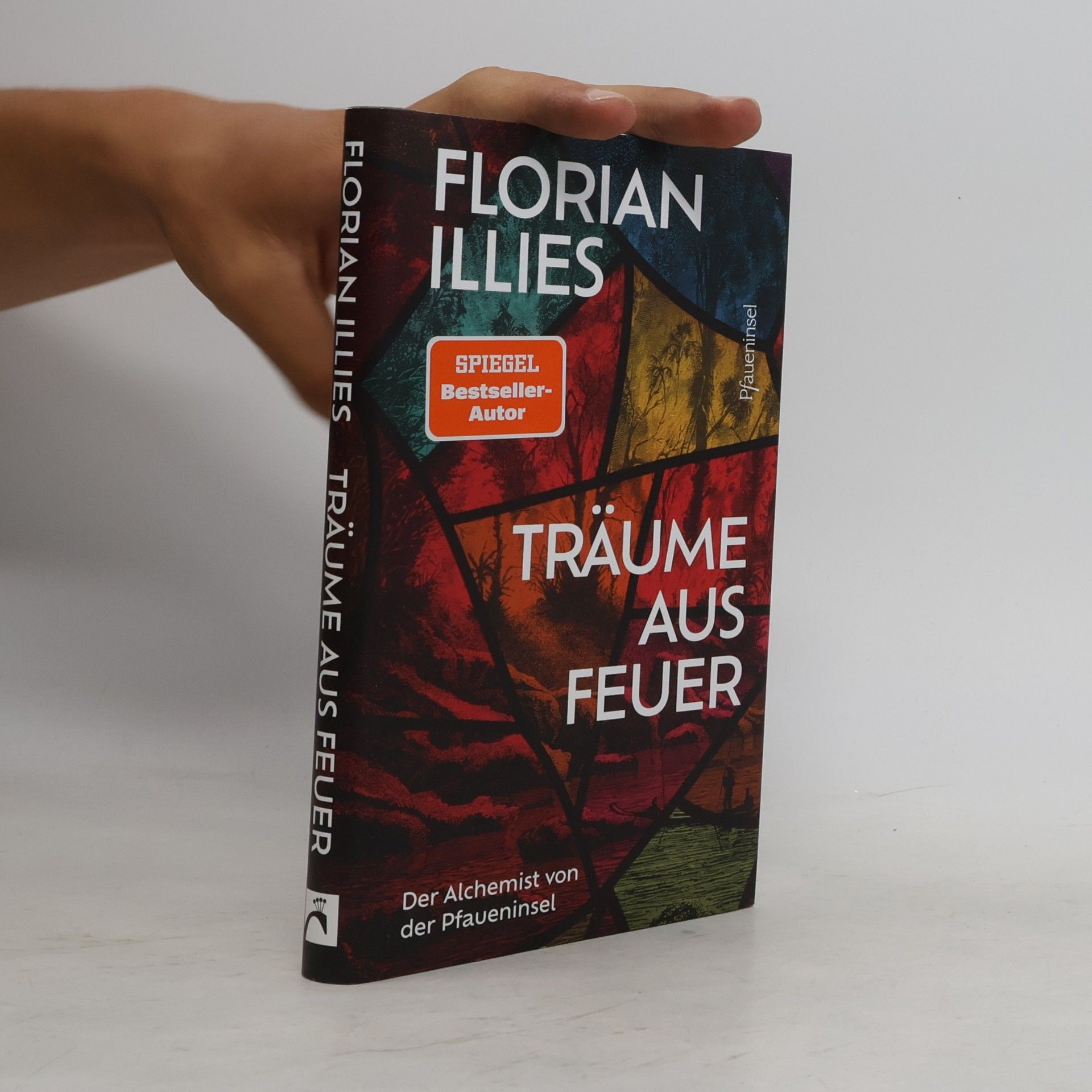 Florian Illies Träume aus Feuer