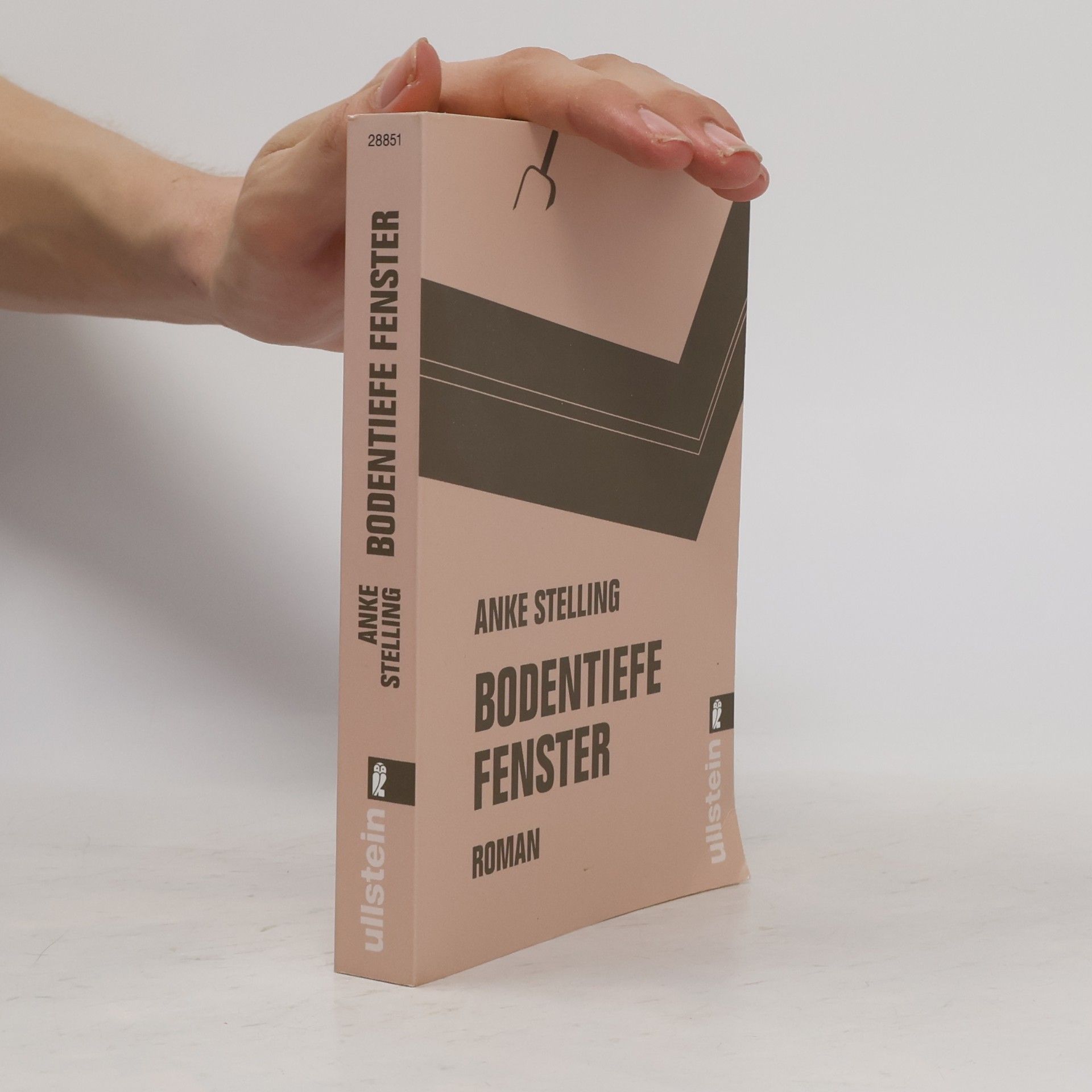 Anke Stelling Bodentiefe Fenster