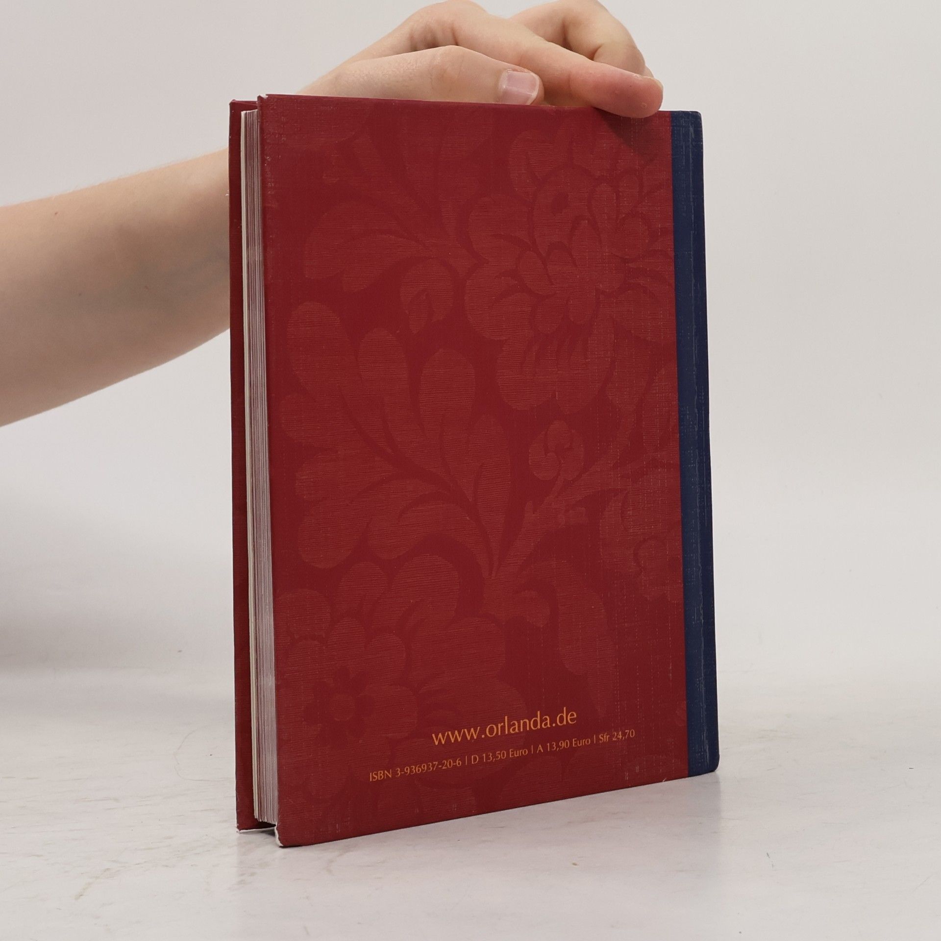 Lilith Hildebrand Ganz schön schwanger: Schwangerschafts-Tagebuch