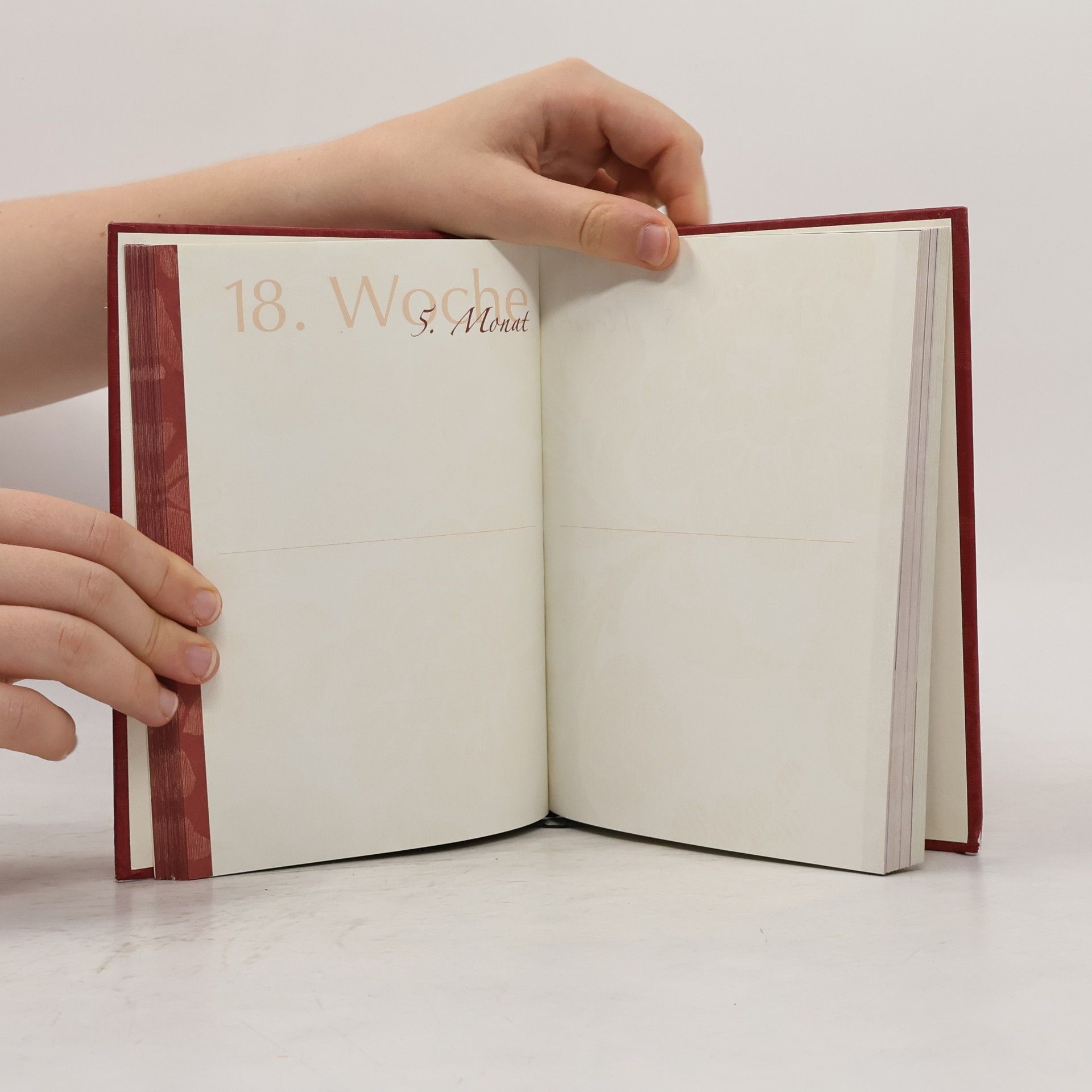 Lilith Hildebrand Ganz schön schwanger: Schwangerschafts-Tagebuch