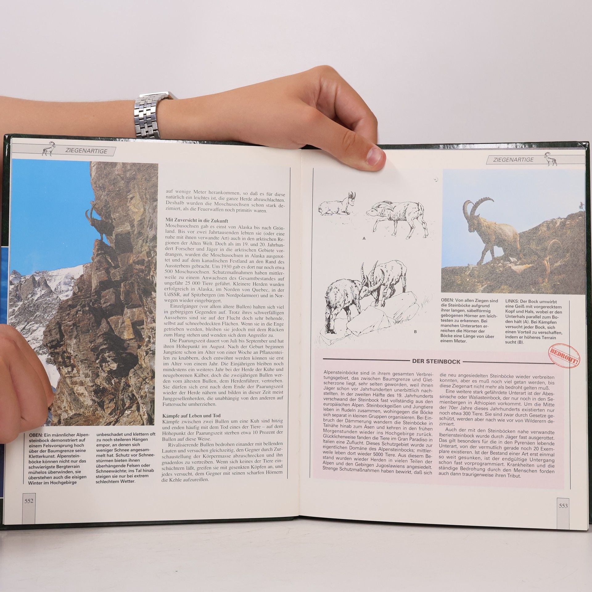 Autorenkollektiv Lebendiges Tierreich 10