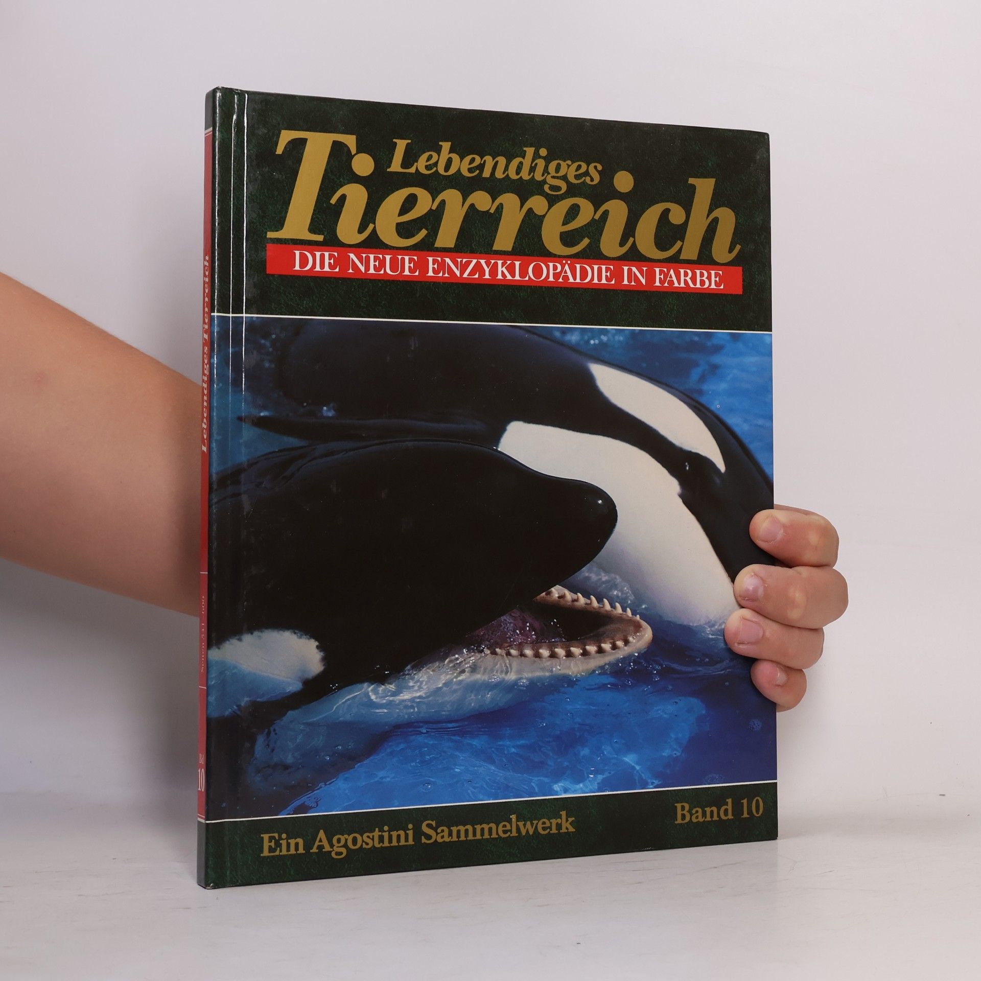 Autorenkollektiv Lebendiges Tierreich 10
