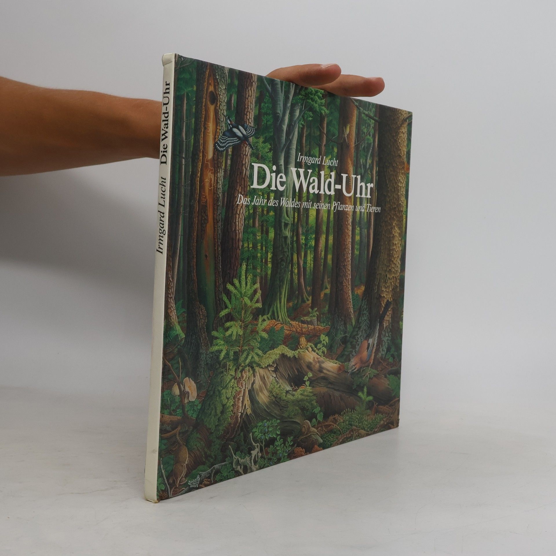 Die Wald-Uhr