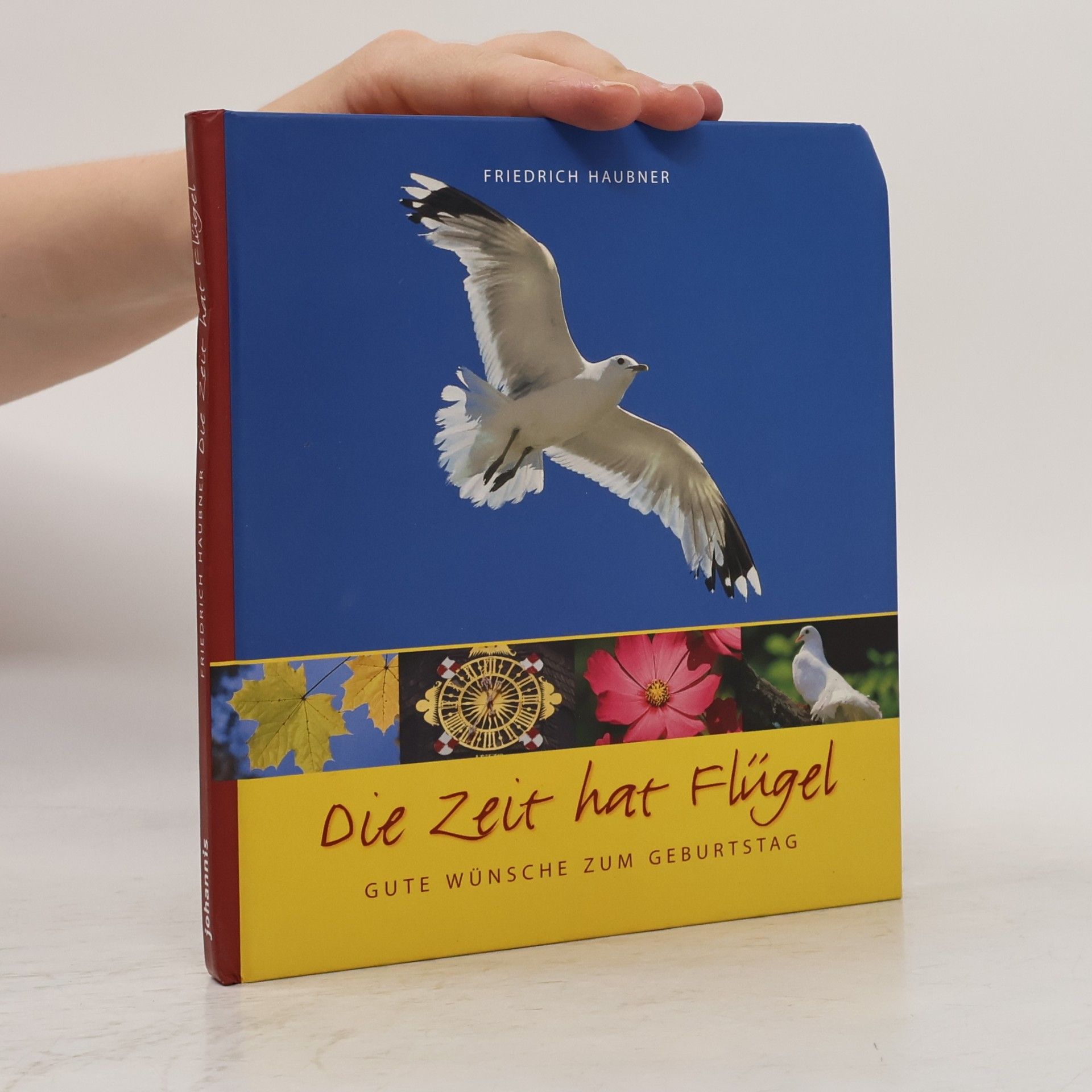 Friedrich Haubner Die Zeit hat Flügel: Gute Wünsche zum Geburtstag (SJD-Bild-Text-Bände)