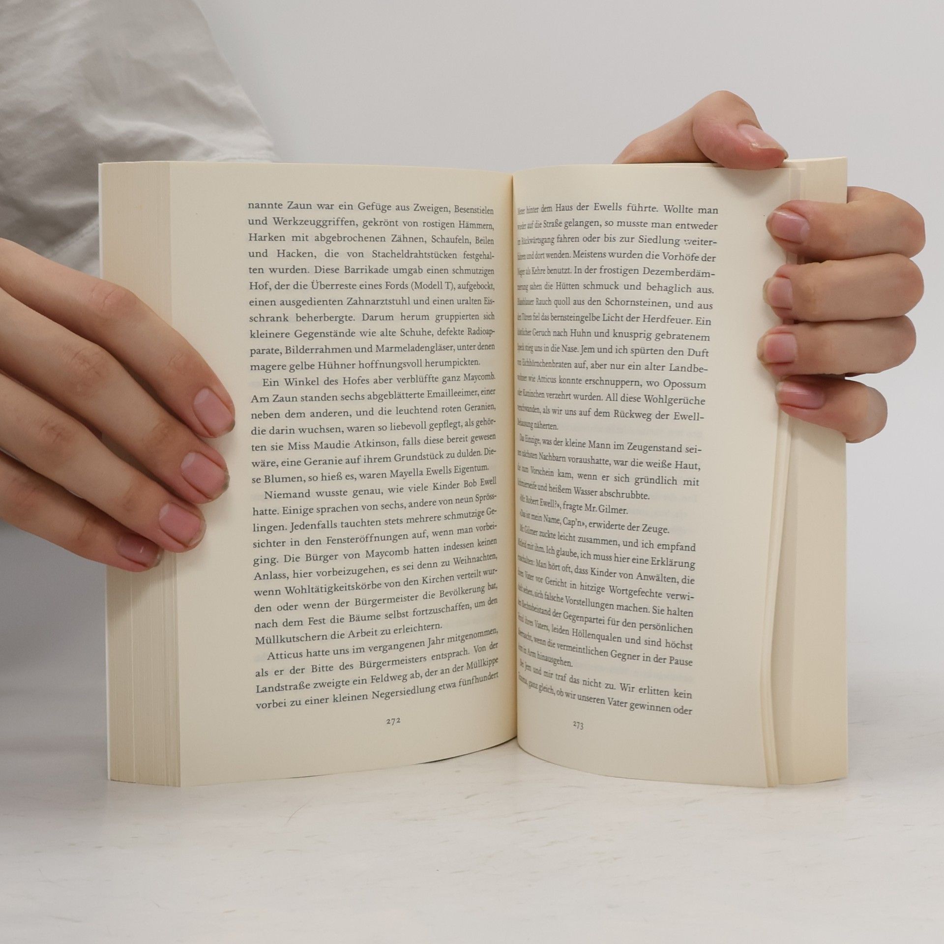 Harper Lee Wer die Nachtigall stört ...