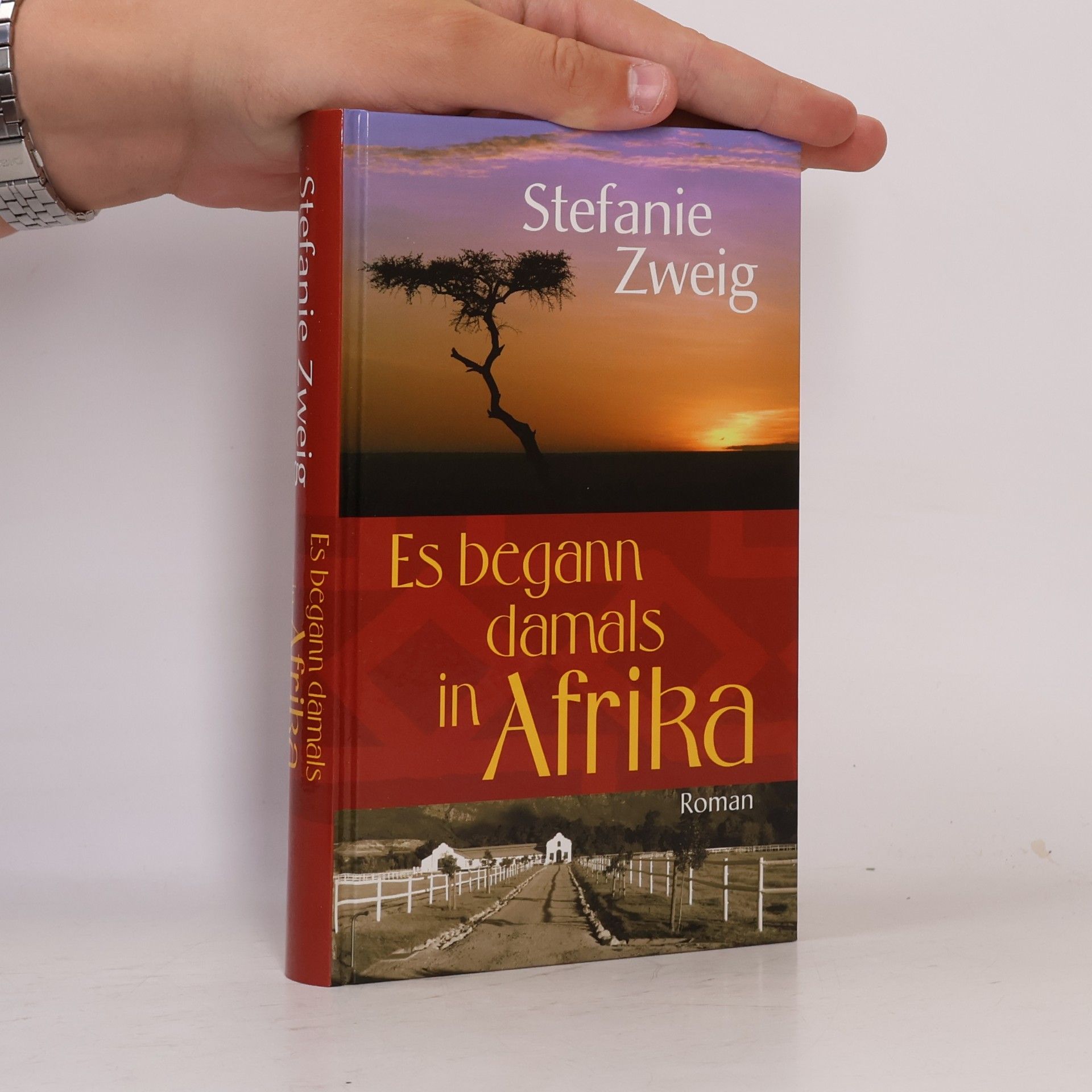 Stefanie Zweig Es begann damals in Afrika