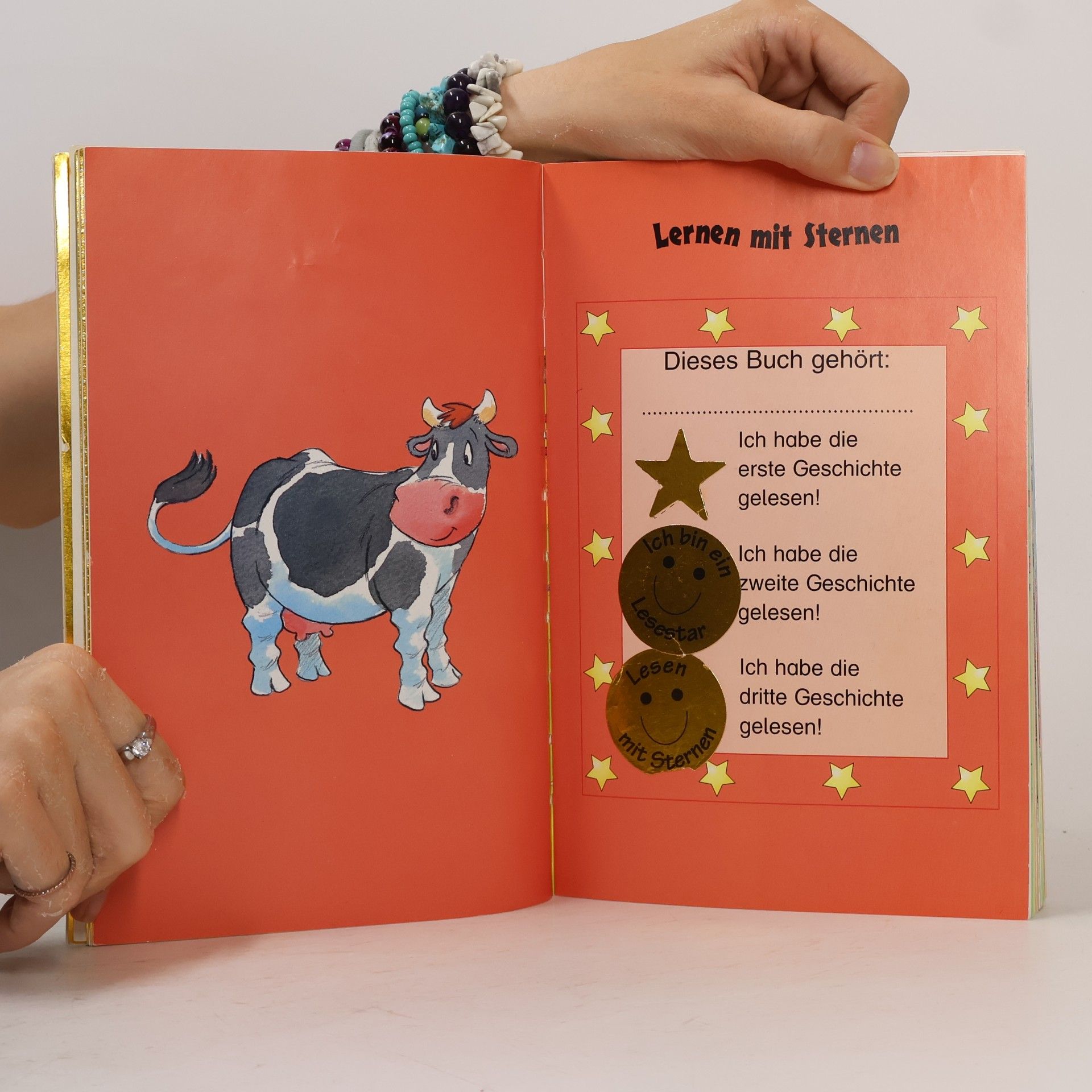 Lernen mit Sternen - 1: Lesegeschichten