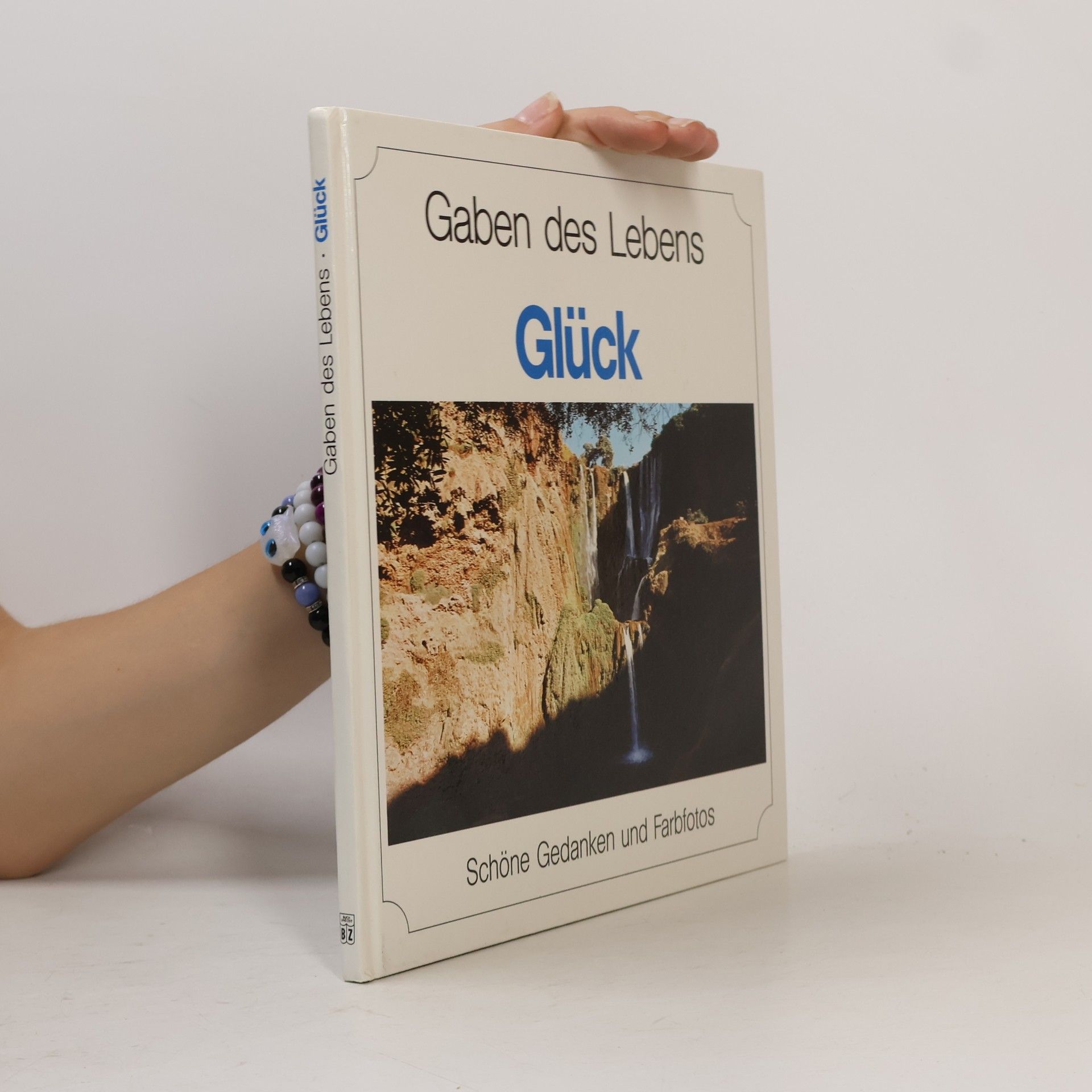Kolektiv autorů Gaben des Lebens. Glück