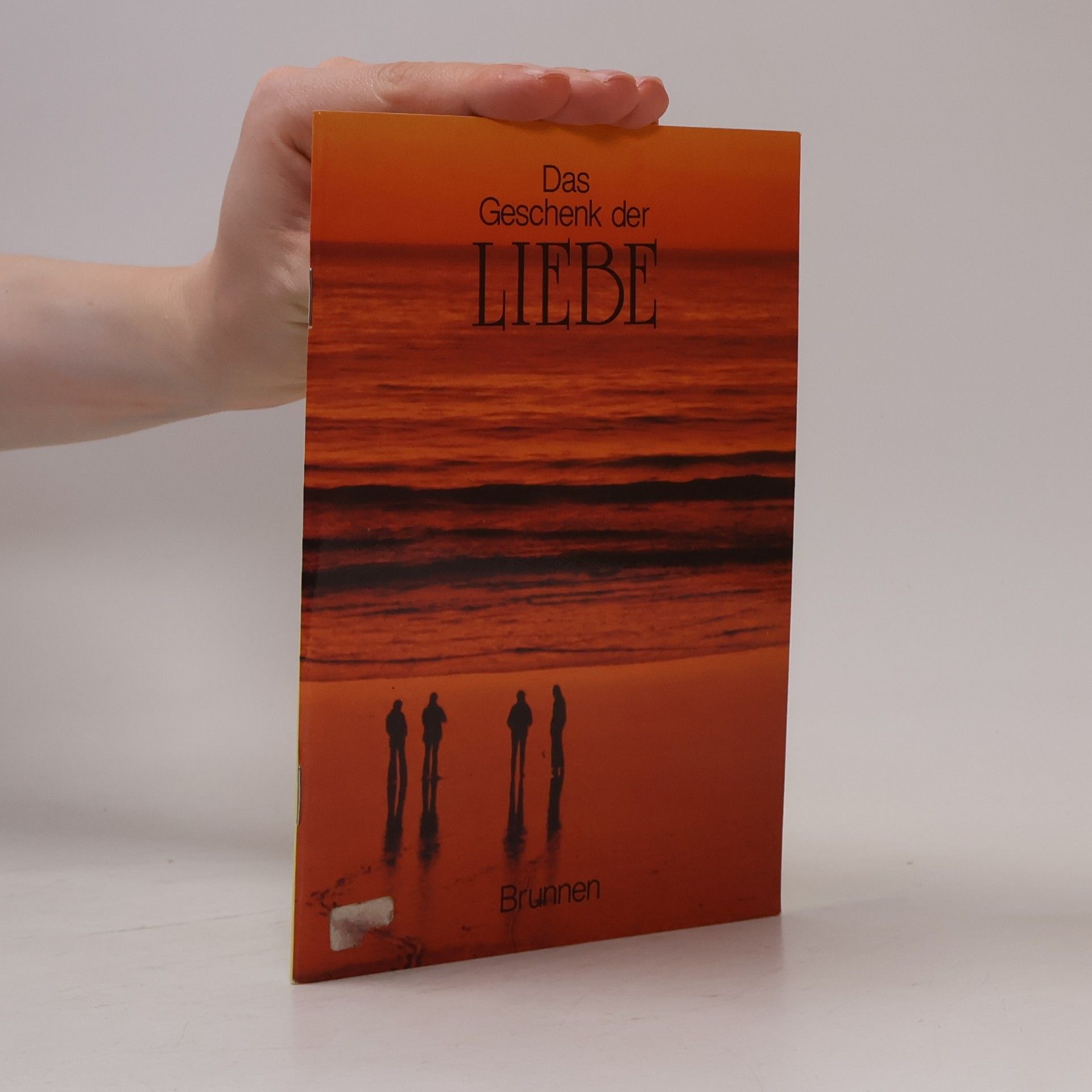Kolektiv autorů Das Geschenk der Liebe