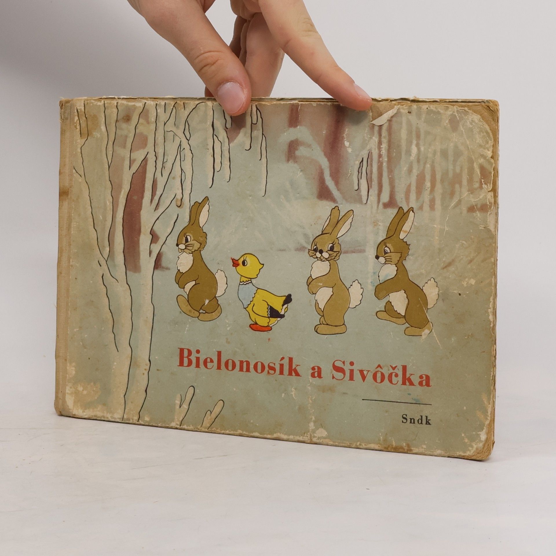 Kolektiv autorů Bielonosík a Sivôčka