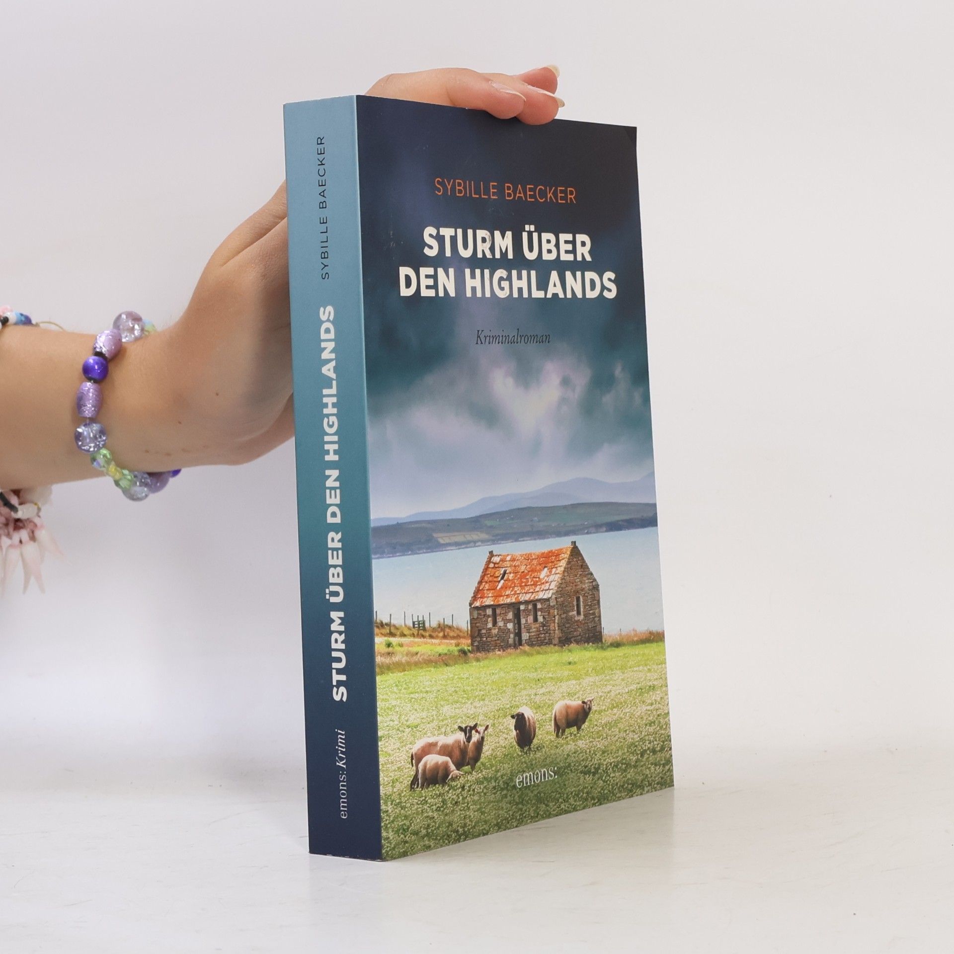 Sybille Baecker Sturm über den Highlands
