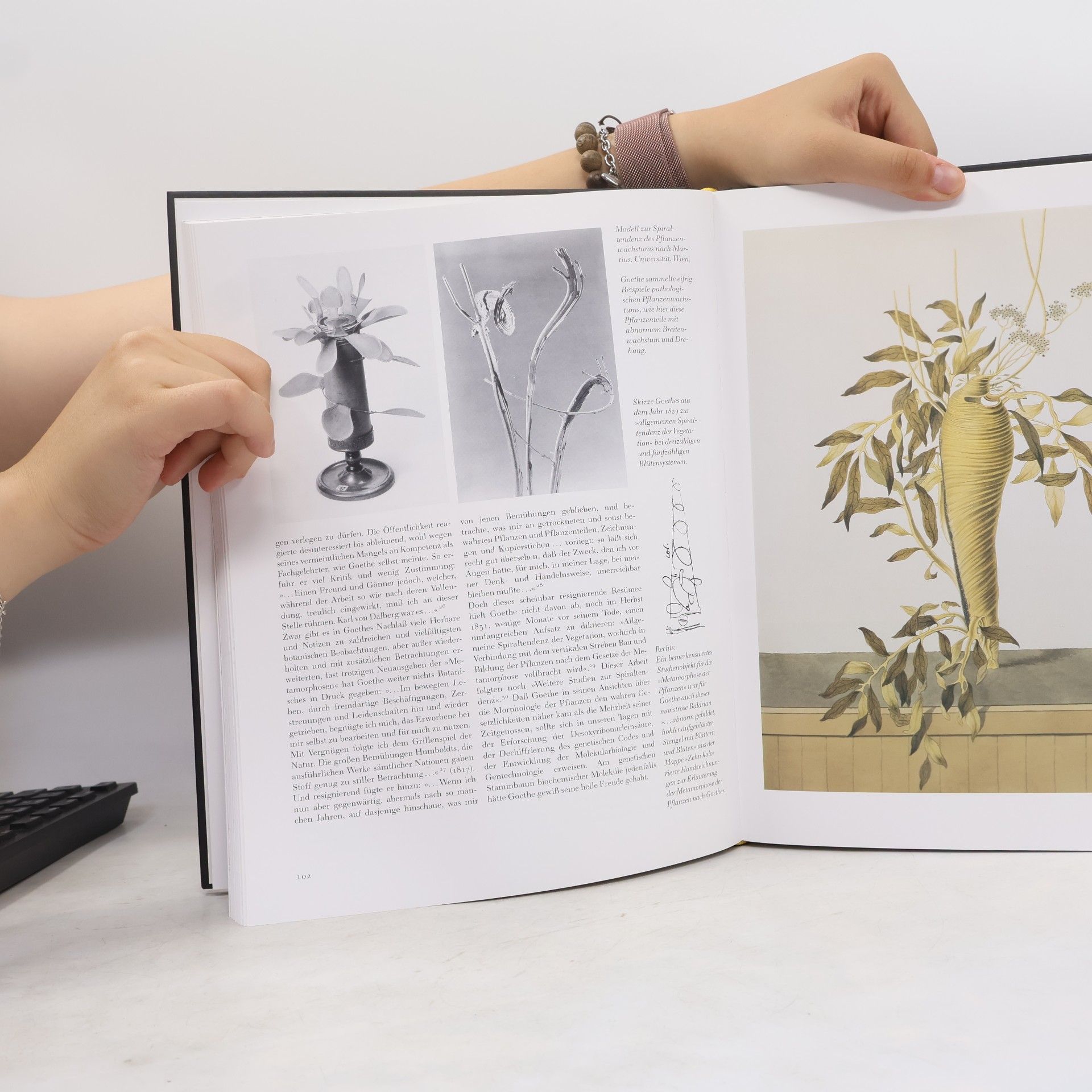 Otto Krätz Goethe und die Naturwissenschaften