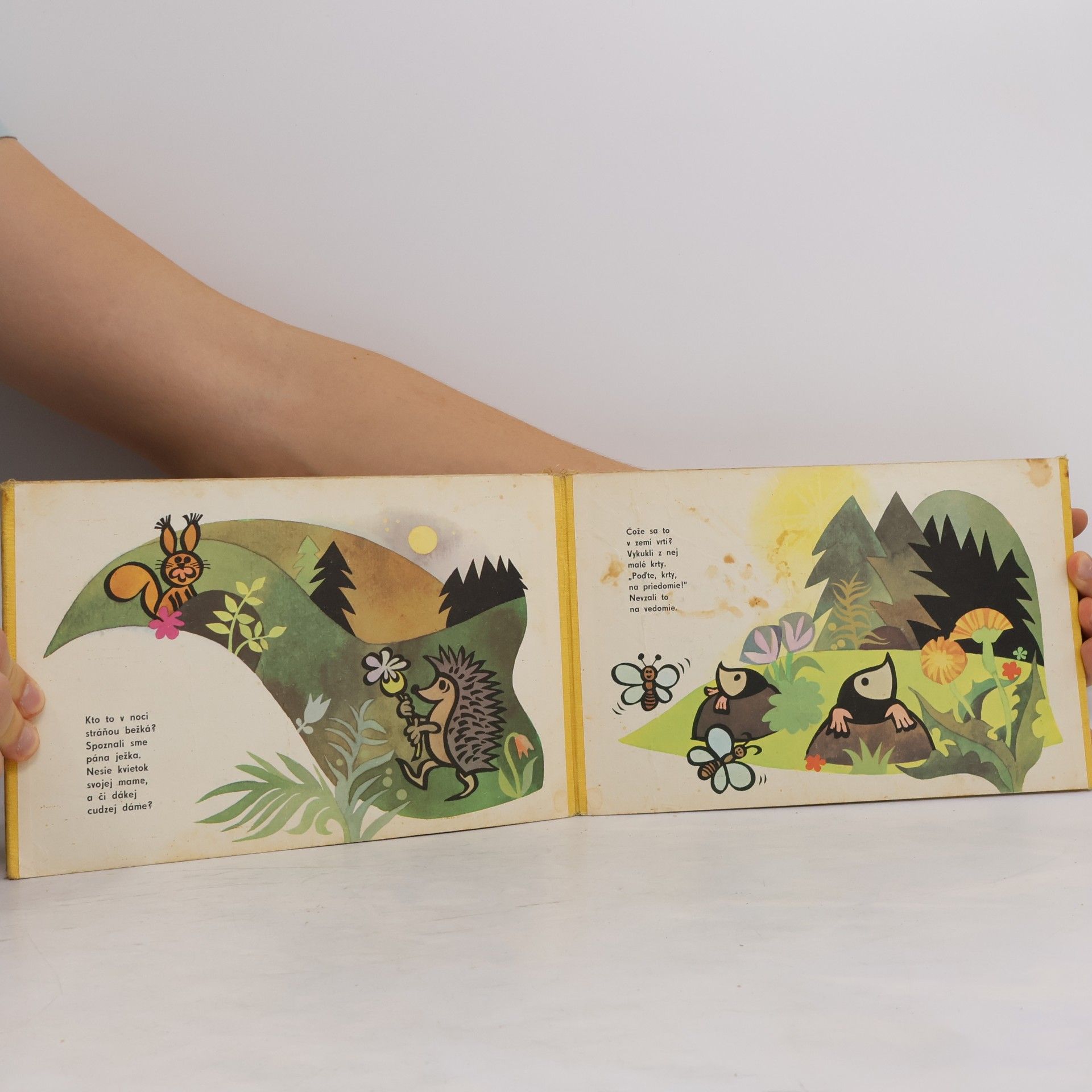 Jindřich Balík Riekanky pre Jankov, pre Hanky