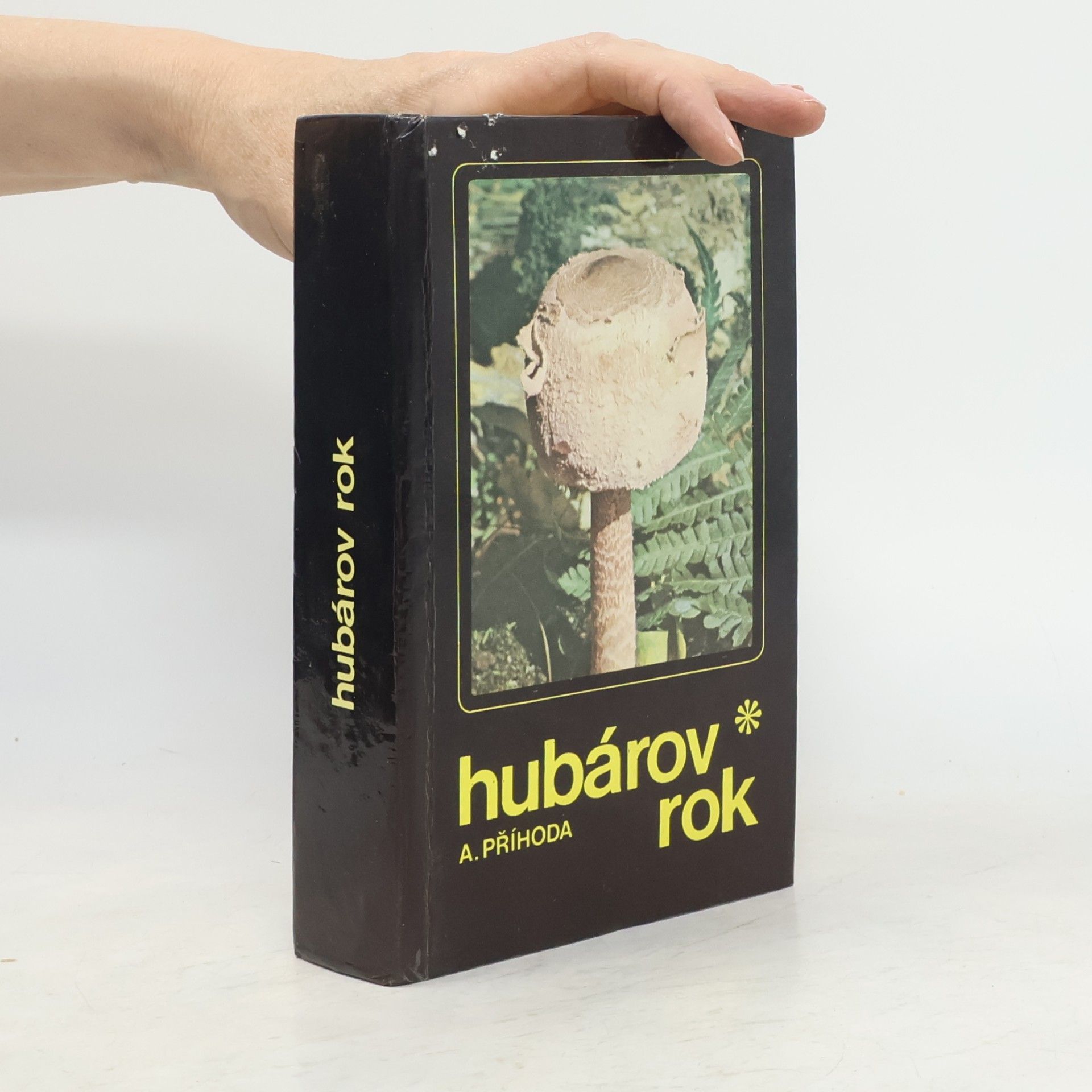 Antonín Příhoda Hubárov rok. Vychádzky za hubami od jari do zimy