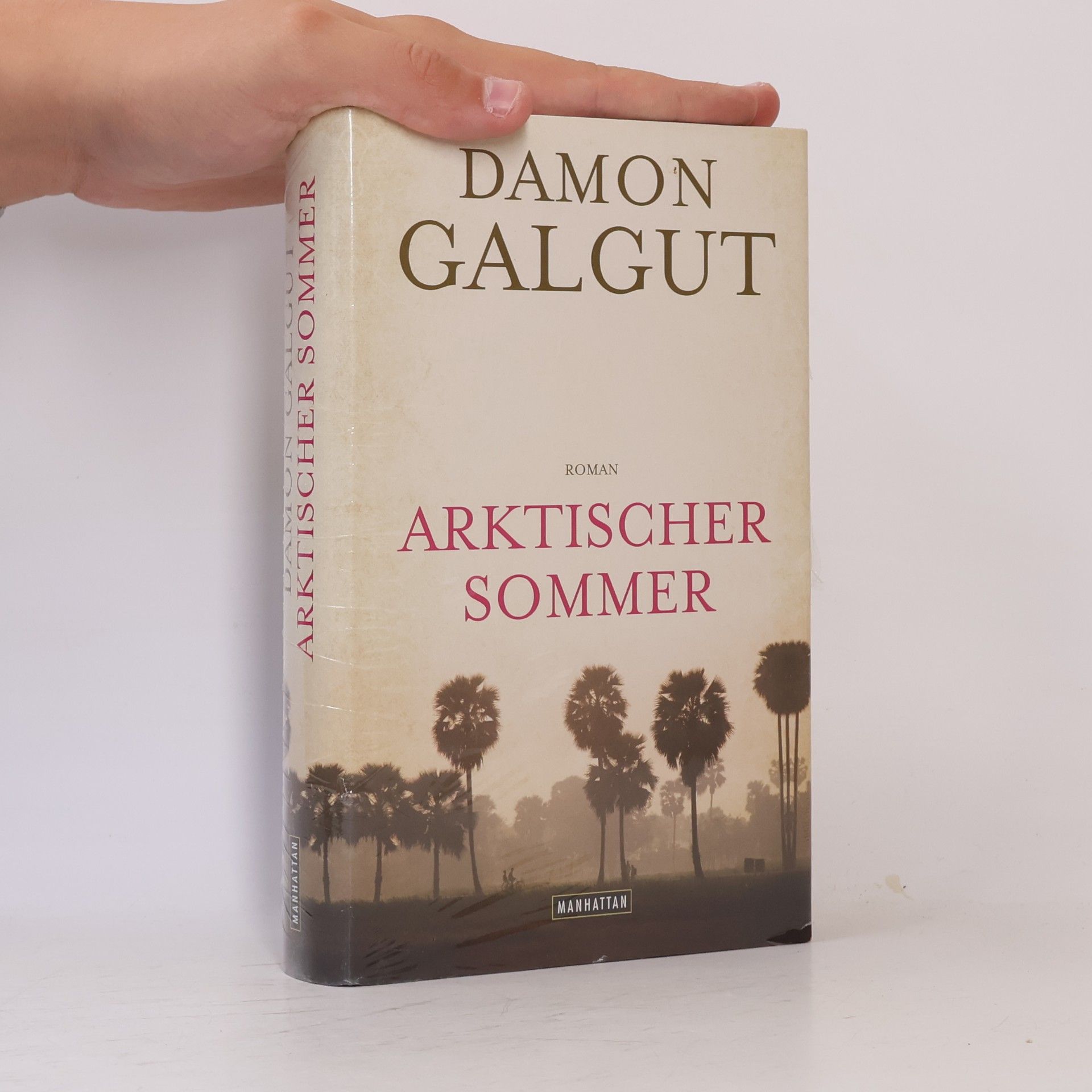 Damon Galgut Arktischer Sommer