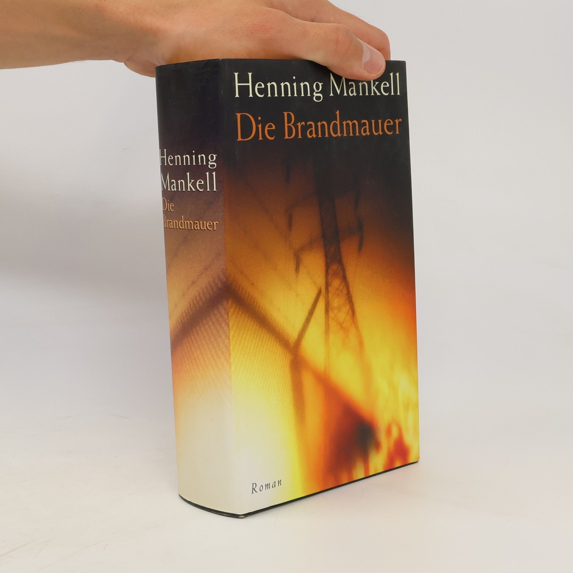 Henning Mankell Die Brandmauer