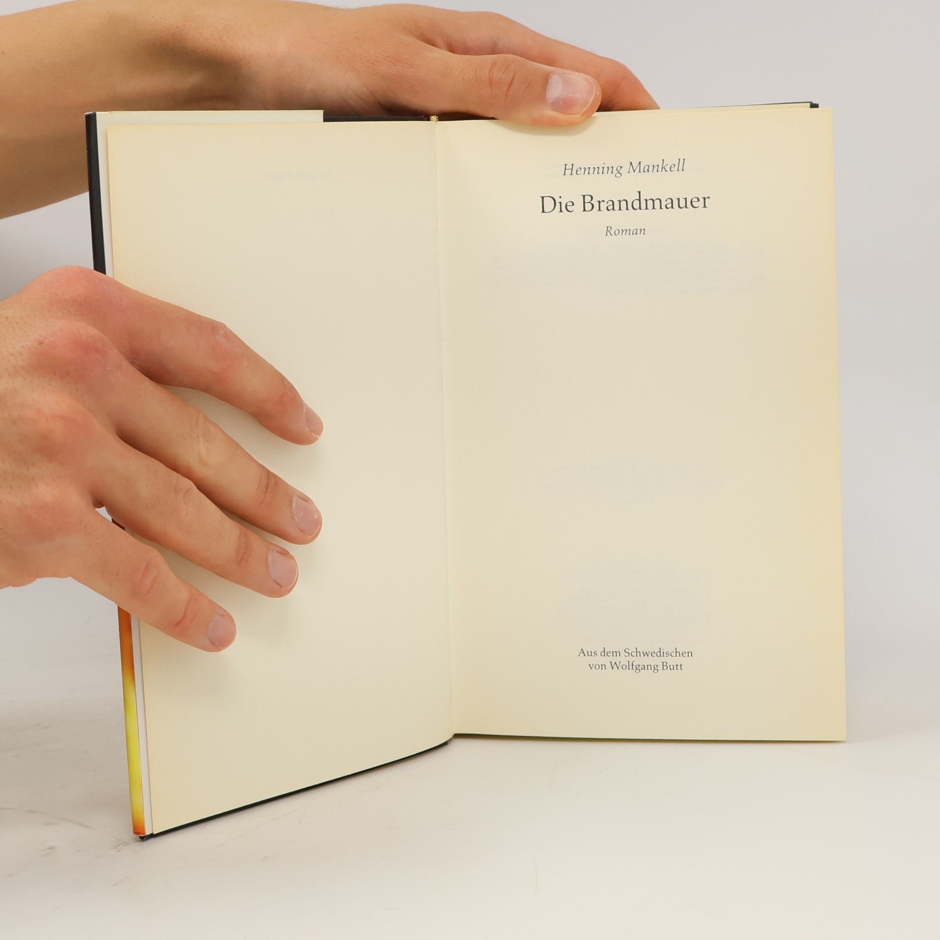 Henning Mankell Die Brandmauer