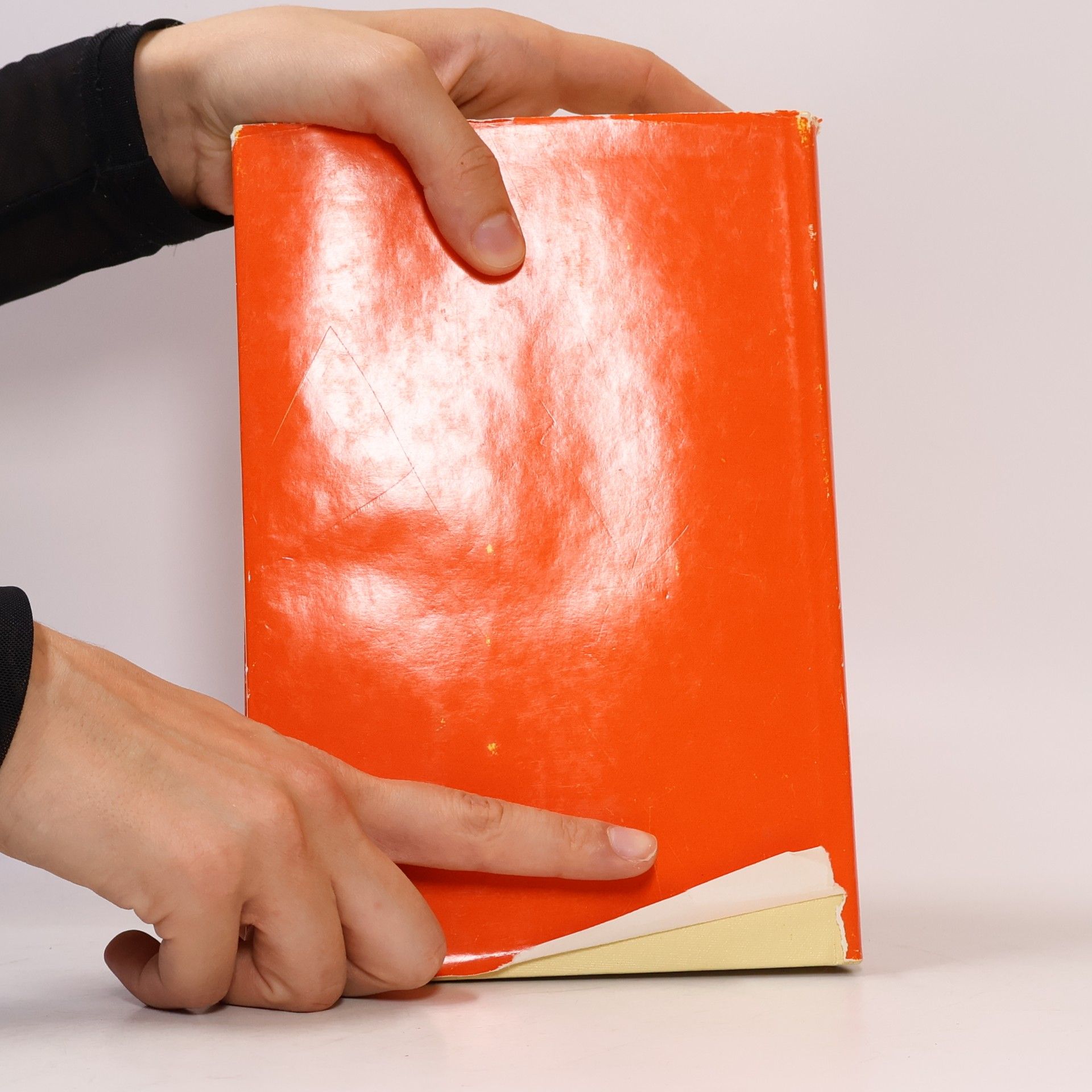 Horst Stobbe Untersuchungen von Blut und Knochenmark
