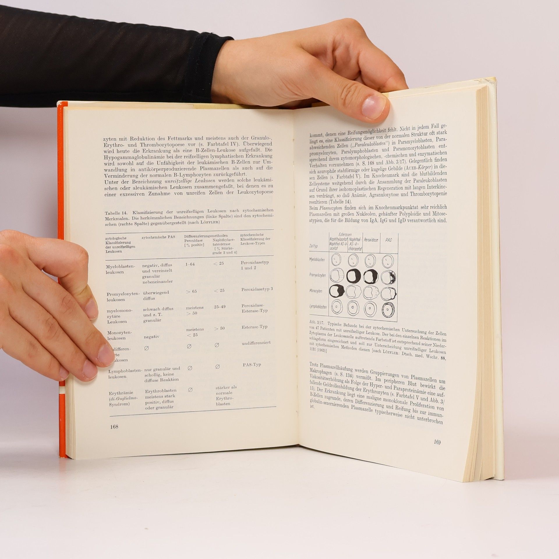 Horst Stobbe Untersuchungen von Blut und Knochenmark