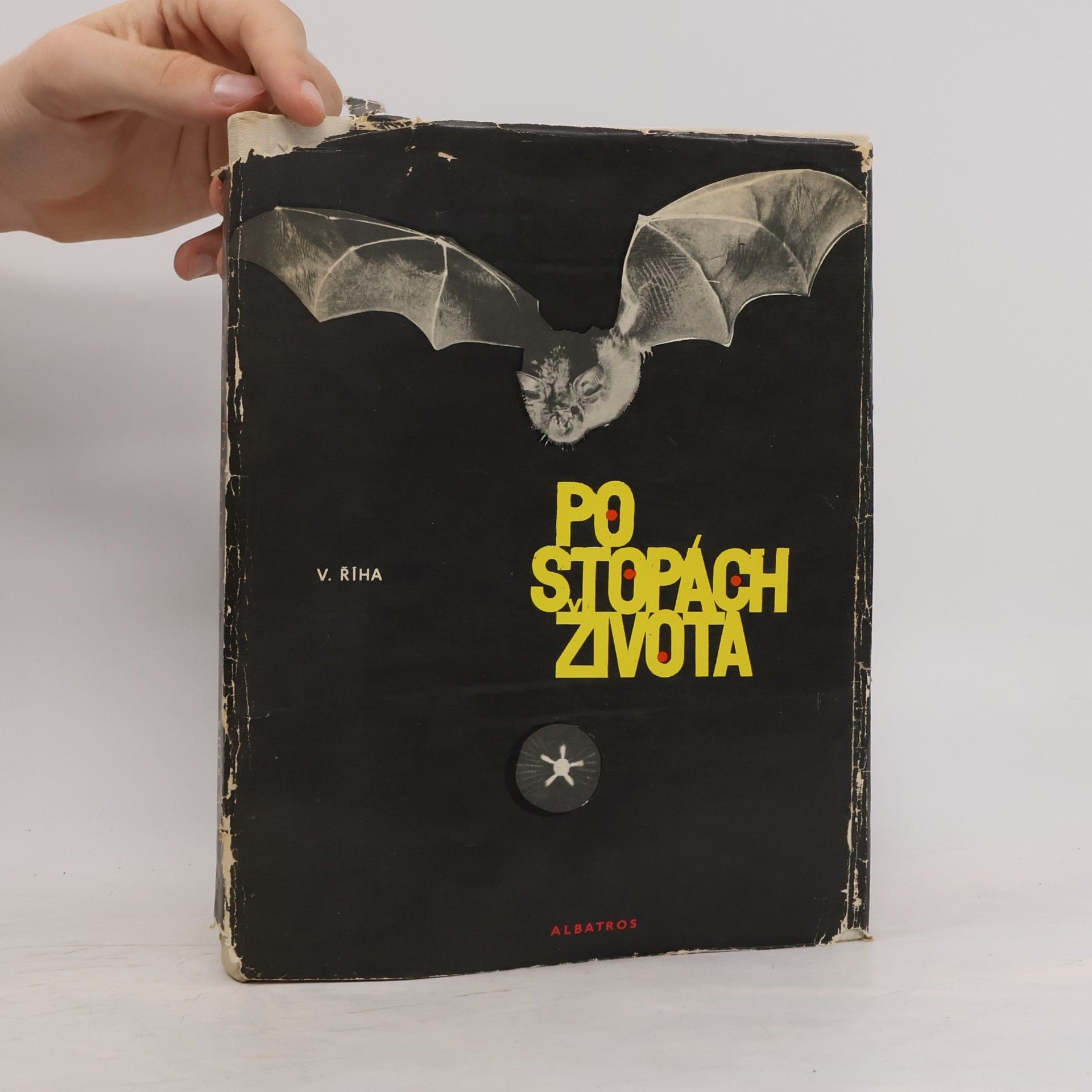 Vítězslav Říha Pe stopách života