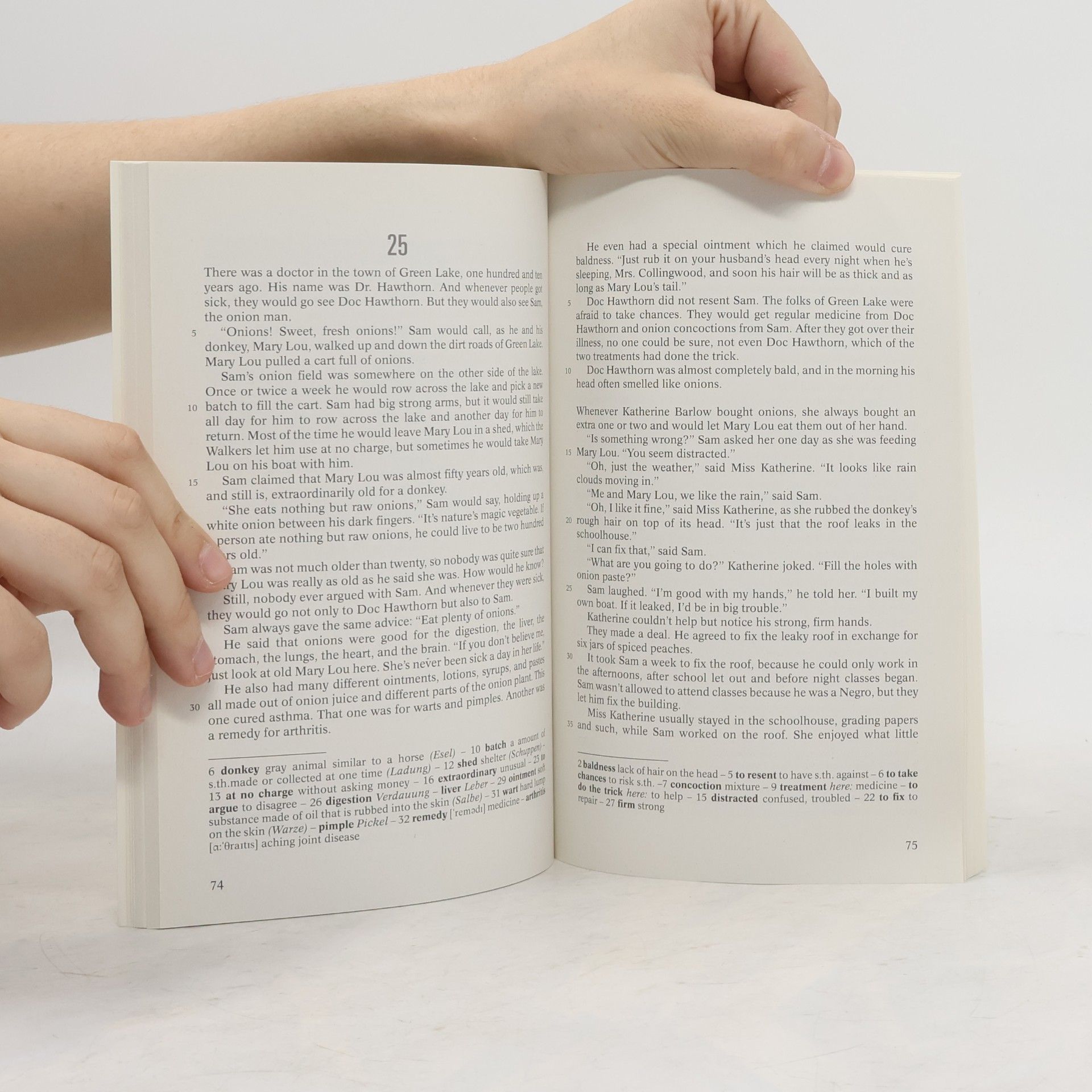 Louis Sachar Holes