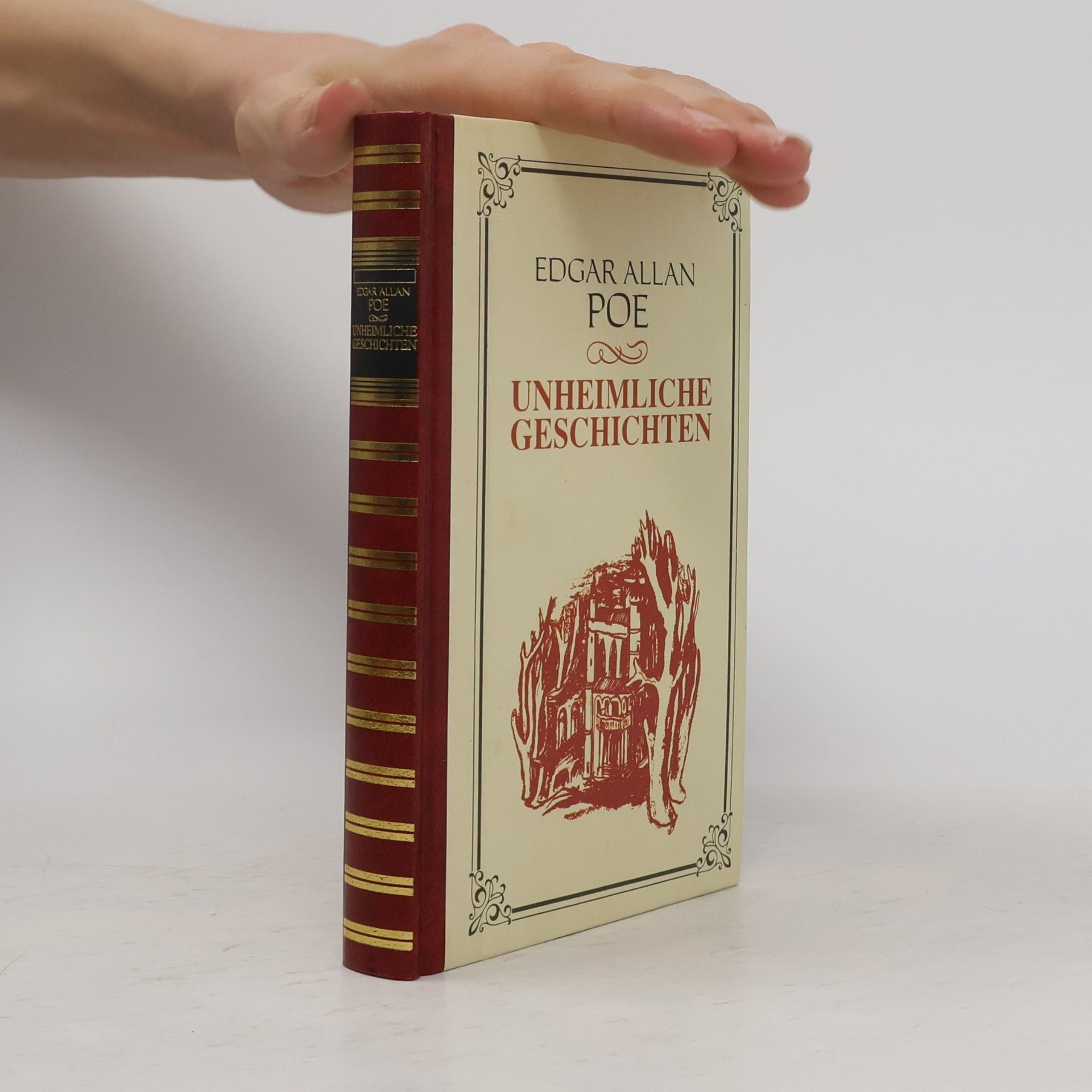 Edgar Allan Poe Unheimliche Geschichten