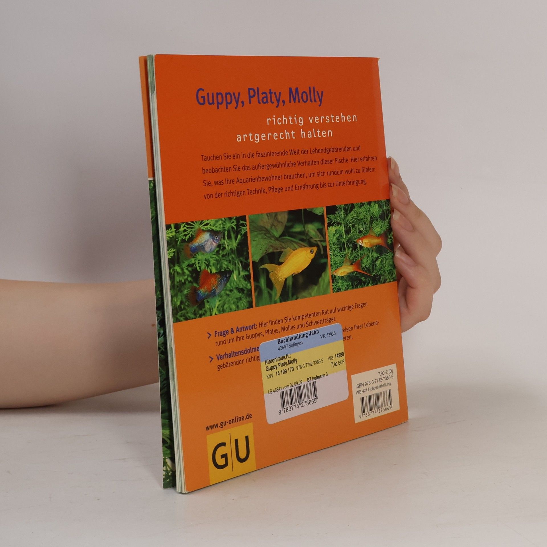 Harro Hieronimus Guppy, Platy, Molly