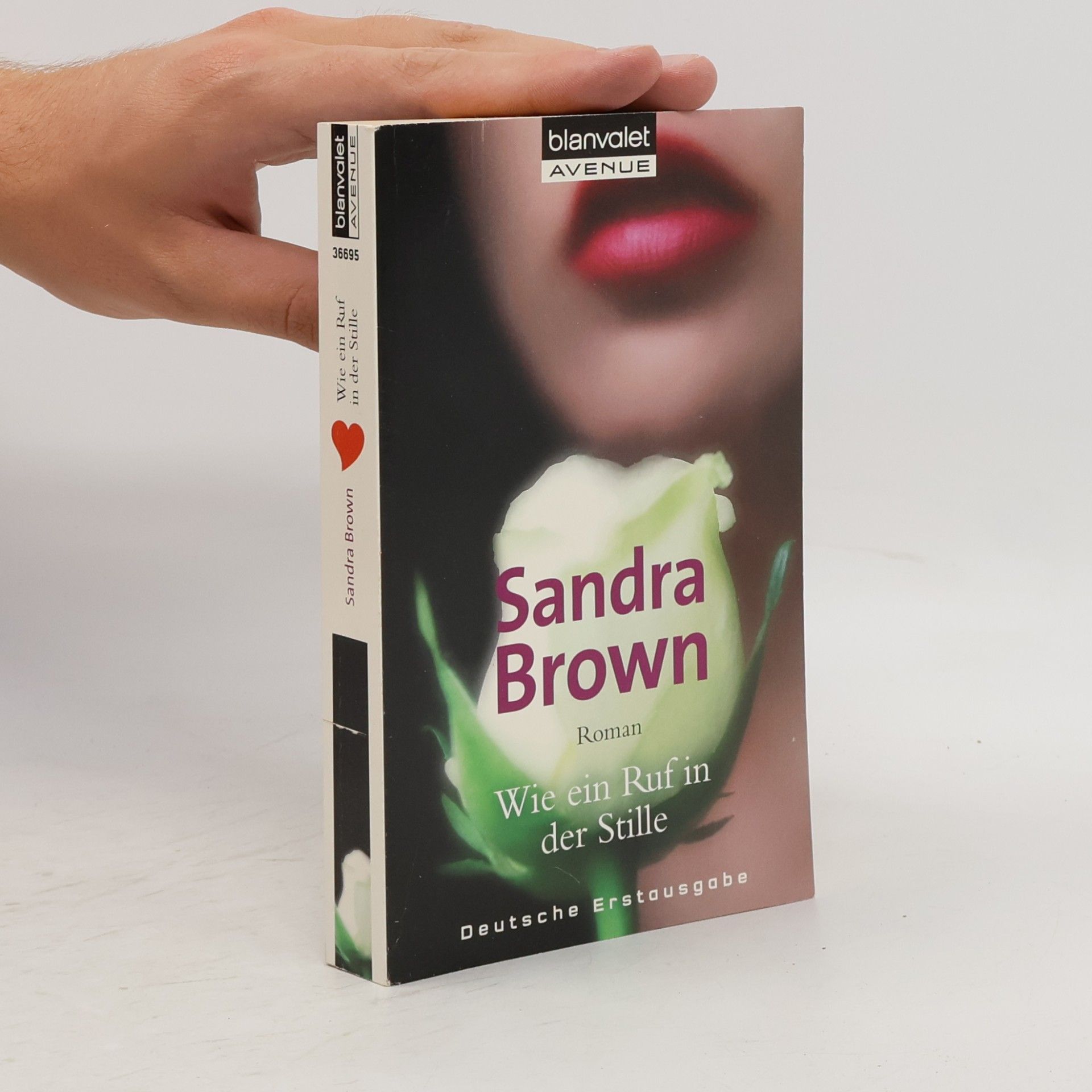 Sandra Brown Wie ein Ruf in der Stille