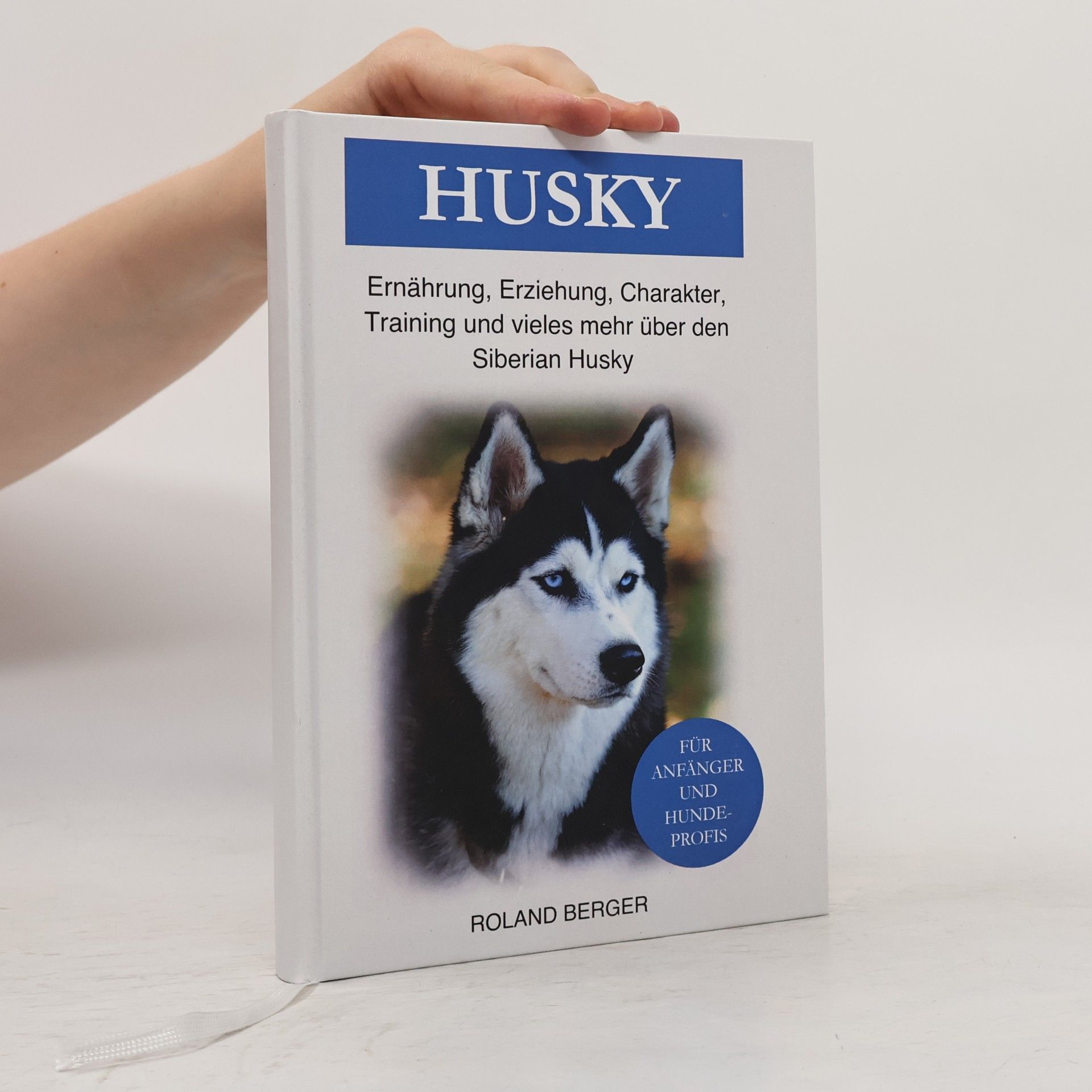 Roland Berger Husky