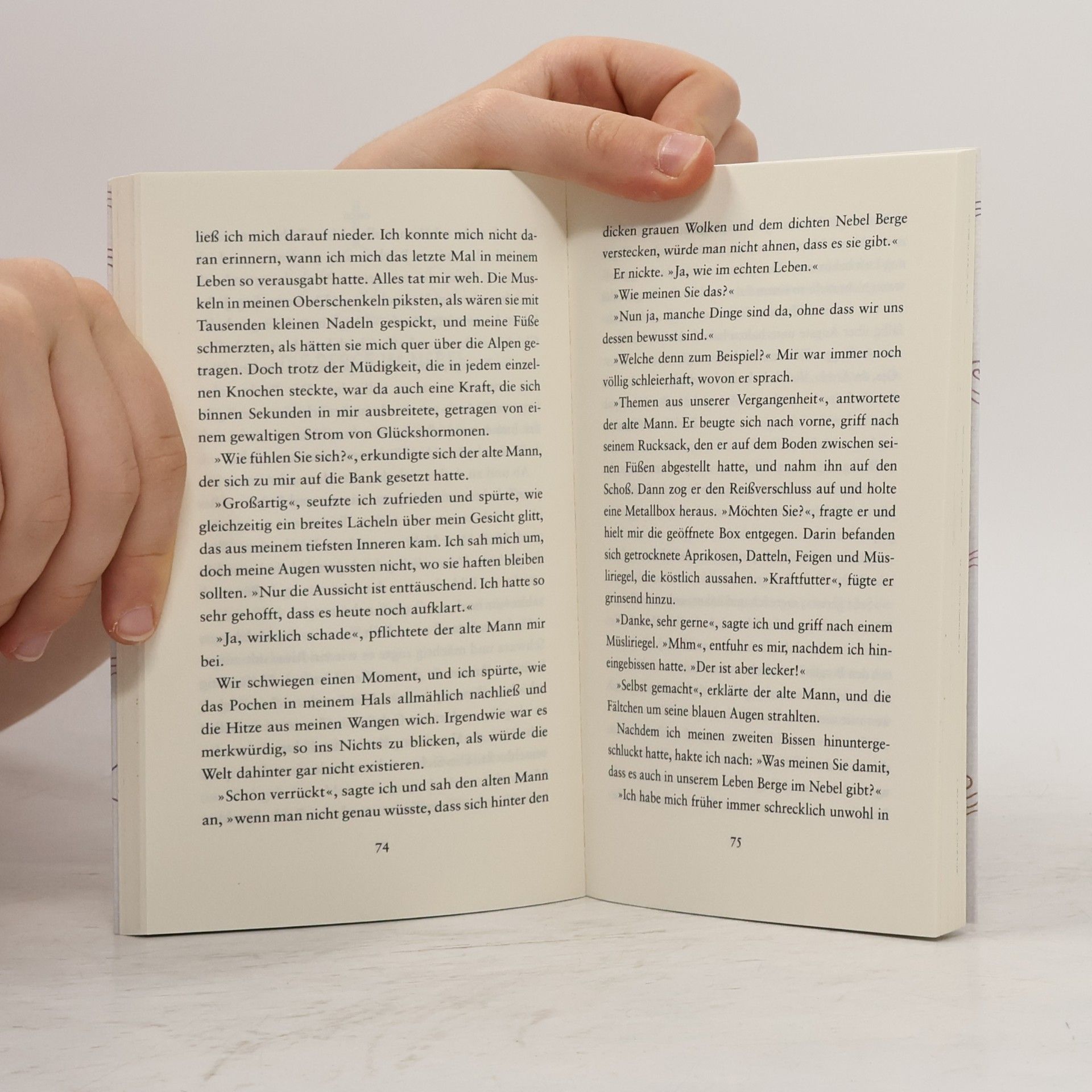 Tessa Randau Die Berge, der Nebel, die Liebe und ich
