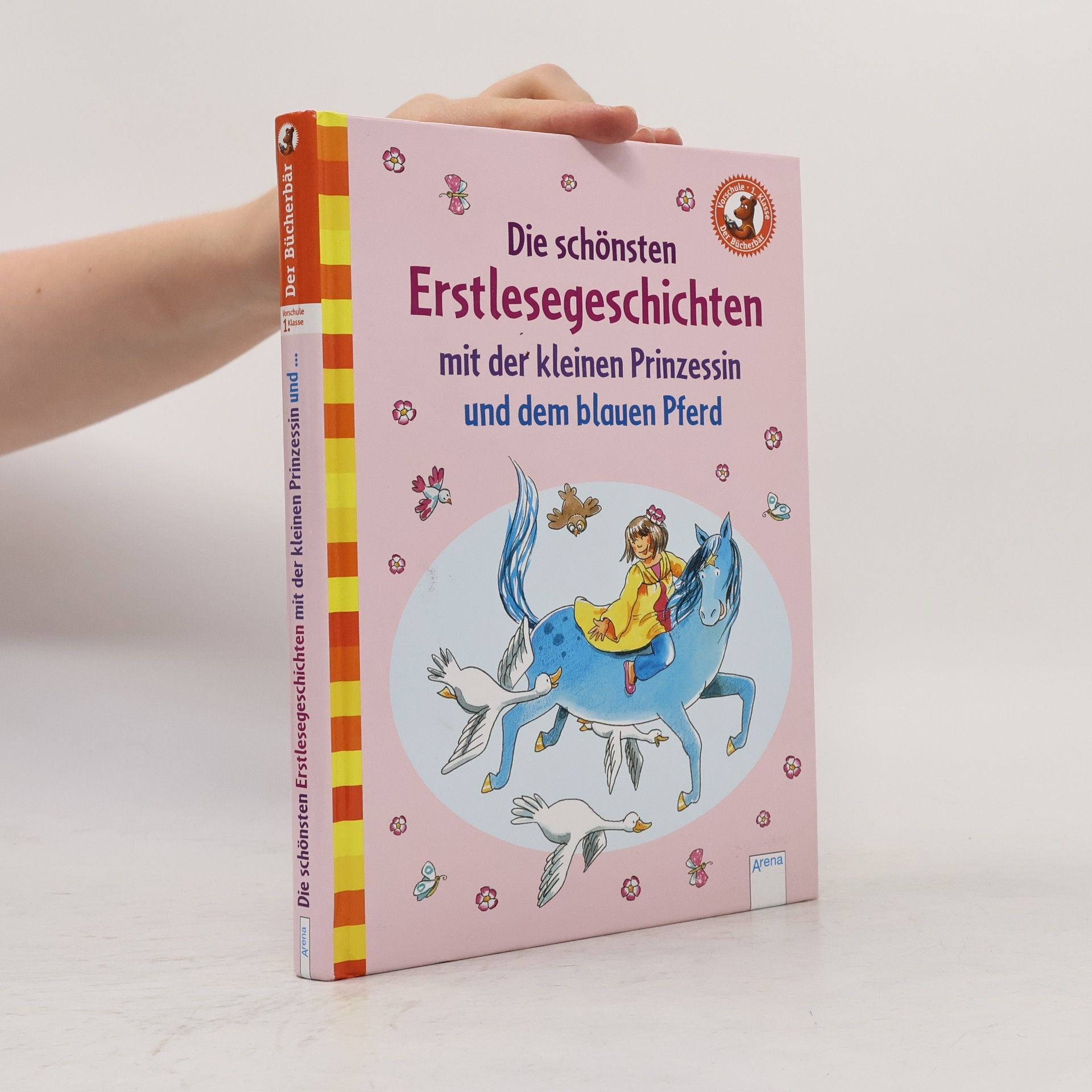 Julia Boehme Die schönsten Erstlesegeschichten mit der kleinen Prinzessin und dem blauen Pferd