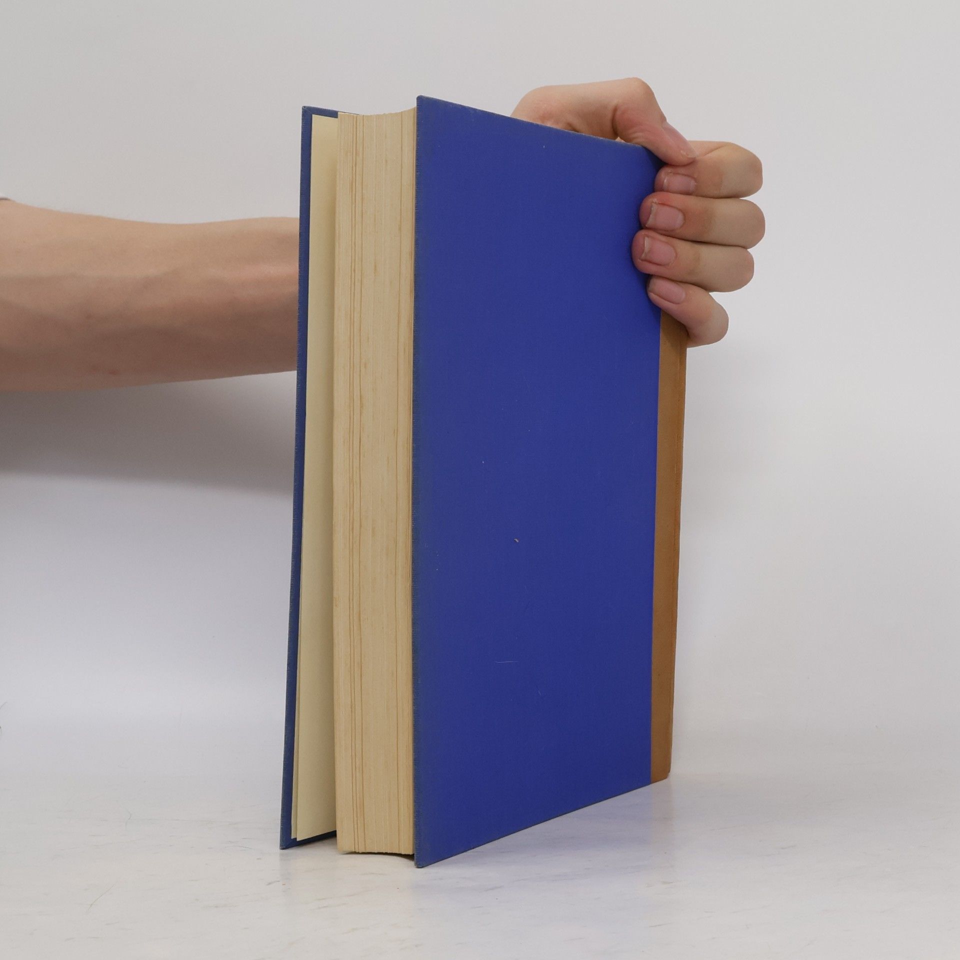 Kolektiv autorů Bilder-Lexikon Literatur und Kunst III.