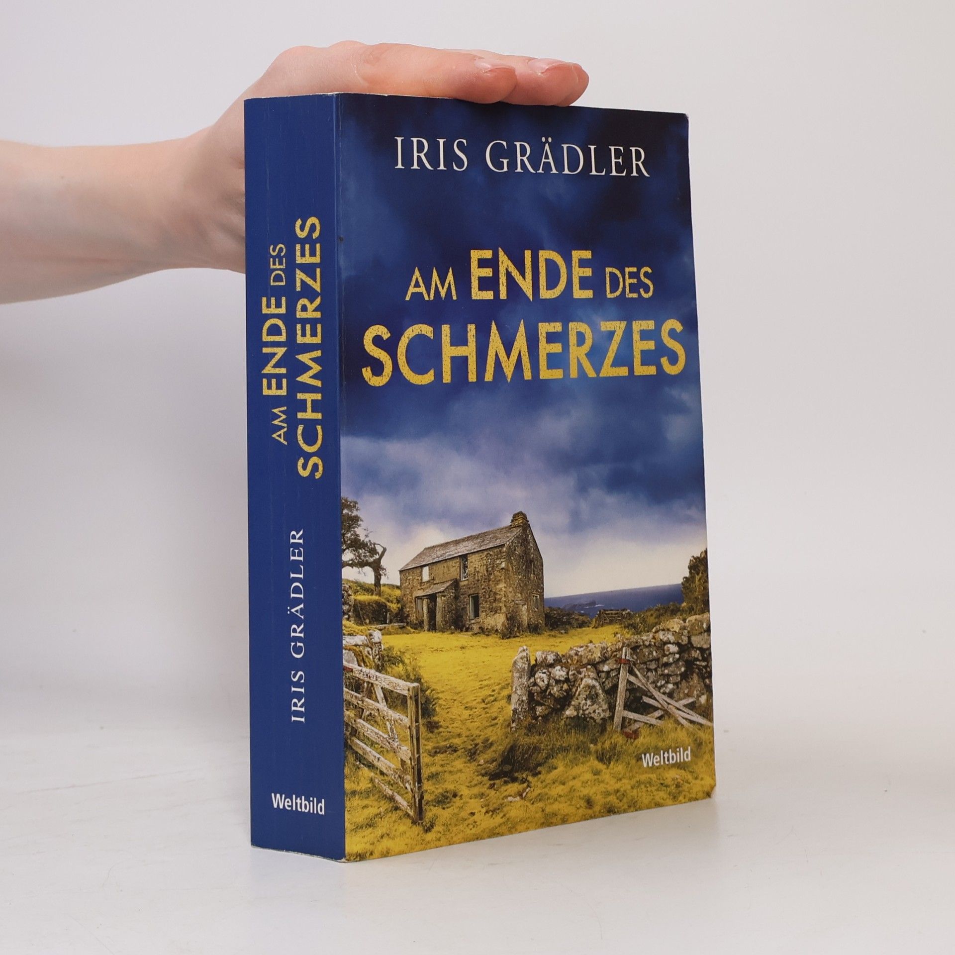Iris Grädler Am Ende des Schmerzes