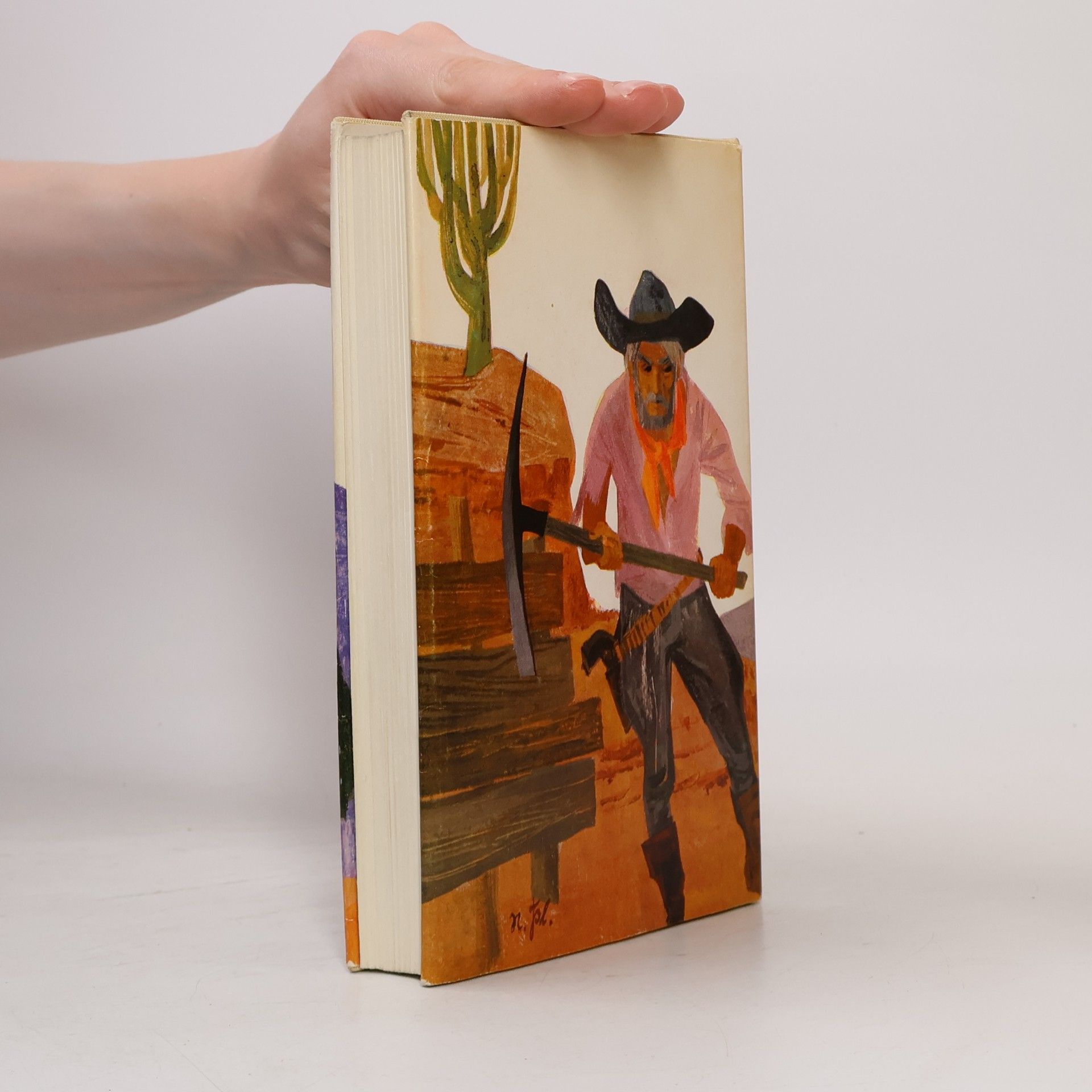 B. Traven Der Schatz der Sierra Madre