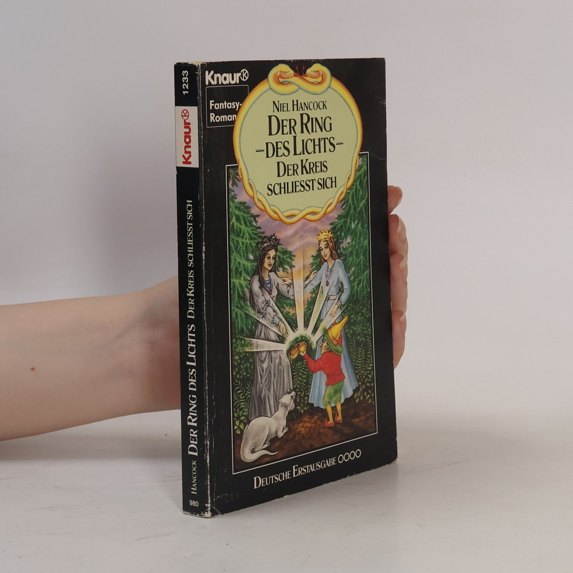 Niel Hancock Der Ring des Lichts, Der Kreis schließt sich. Fantasy Roman