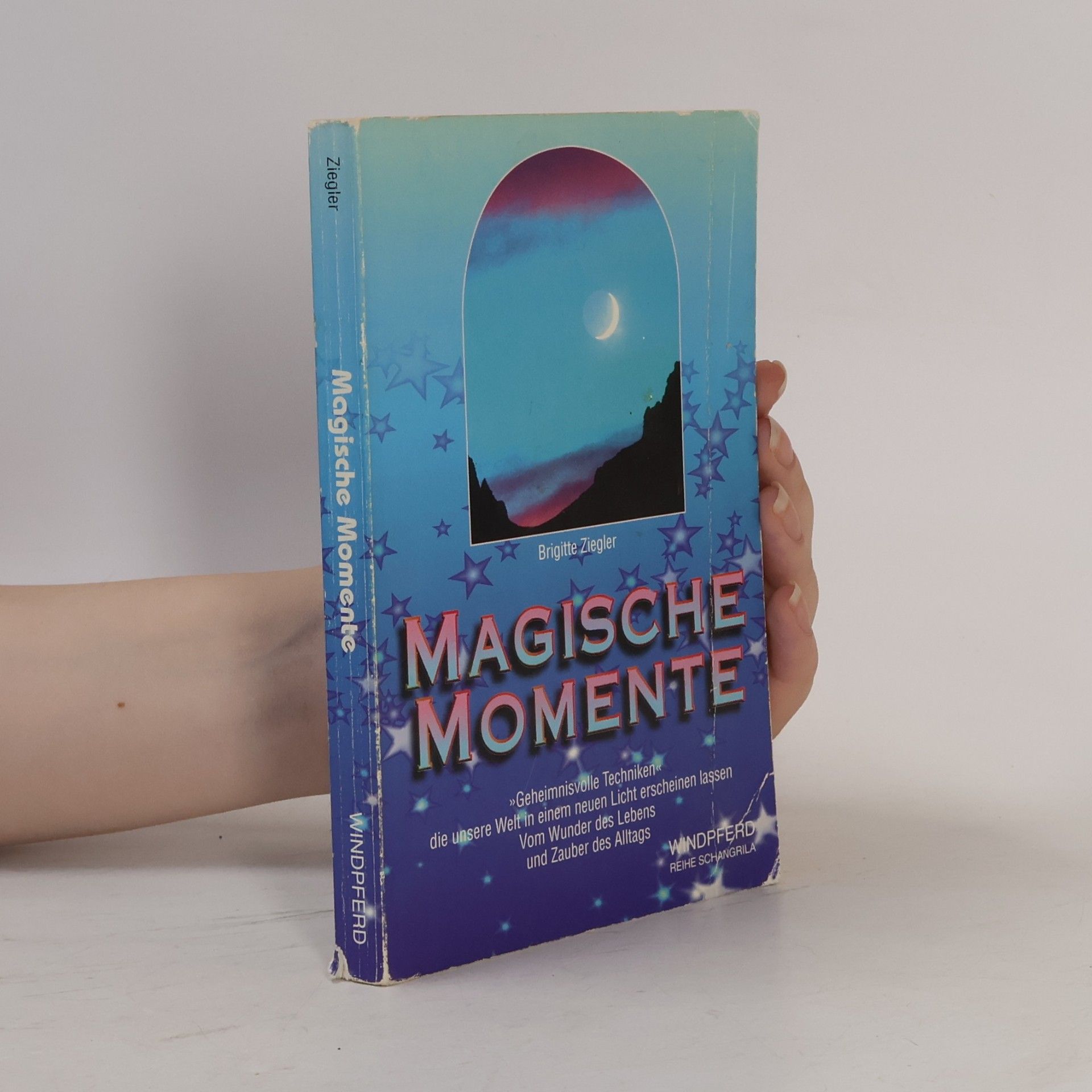 Brigitte Ziegler Magische Momente