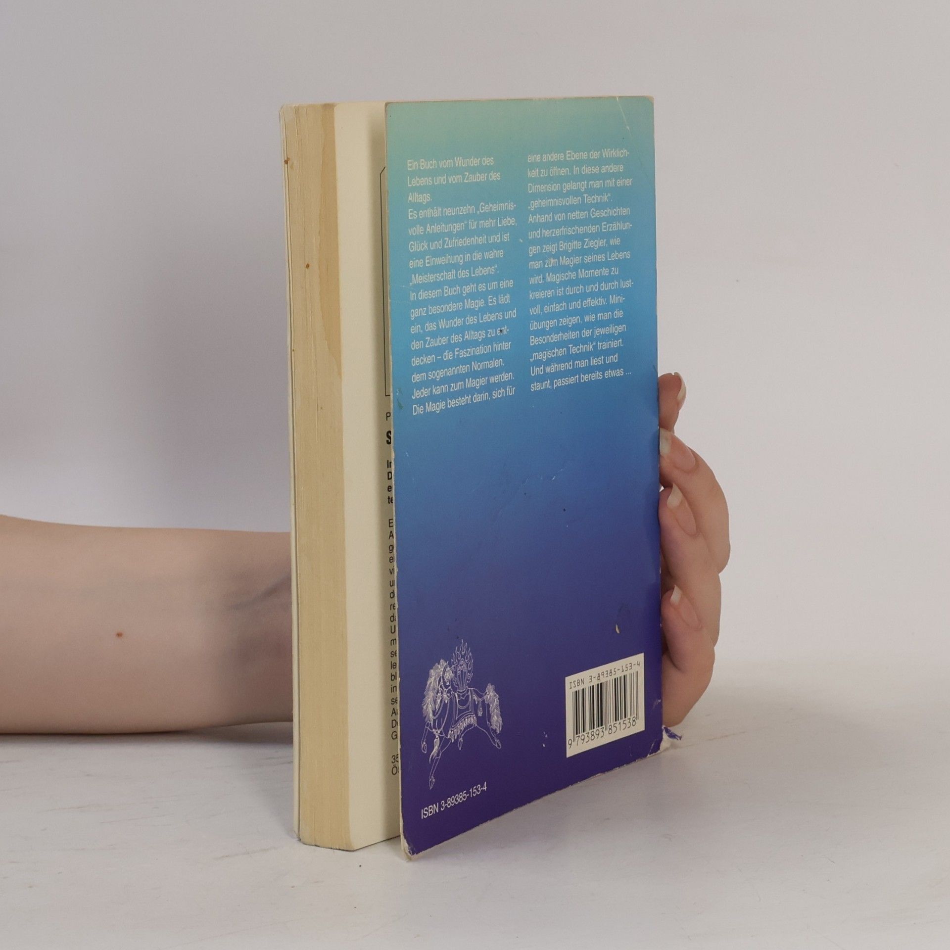 Brigitte Ziegler Magische Momente