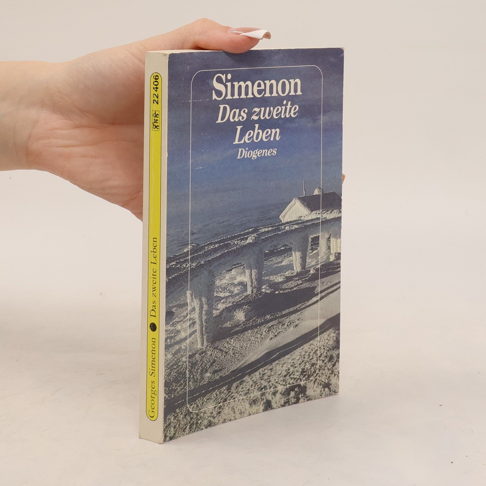 Georges Simenon Das zweite Leben