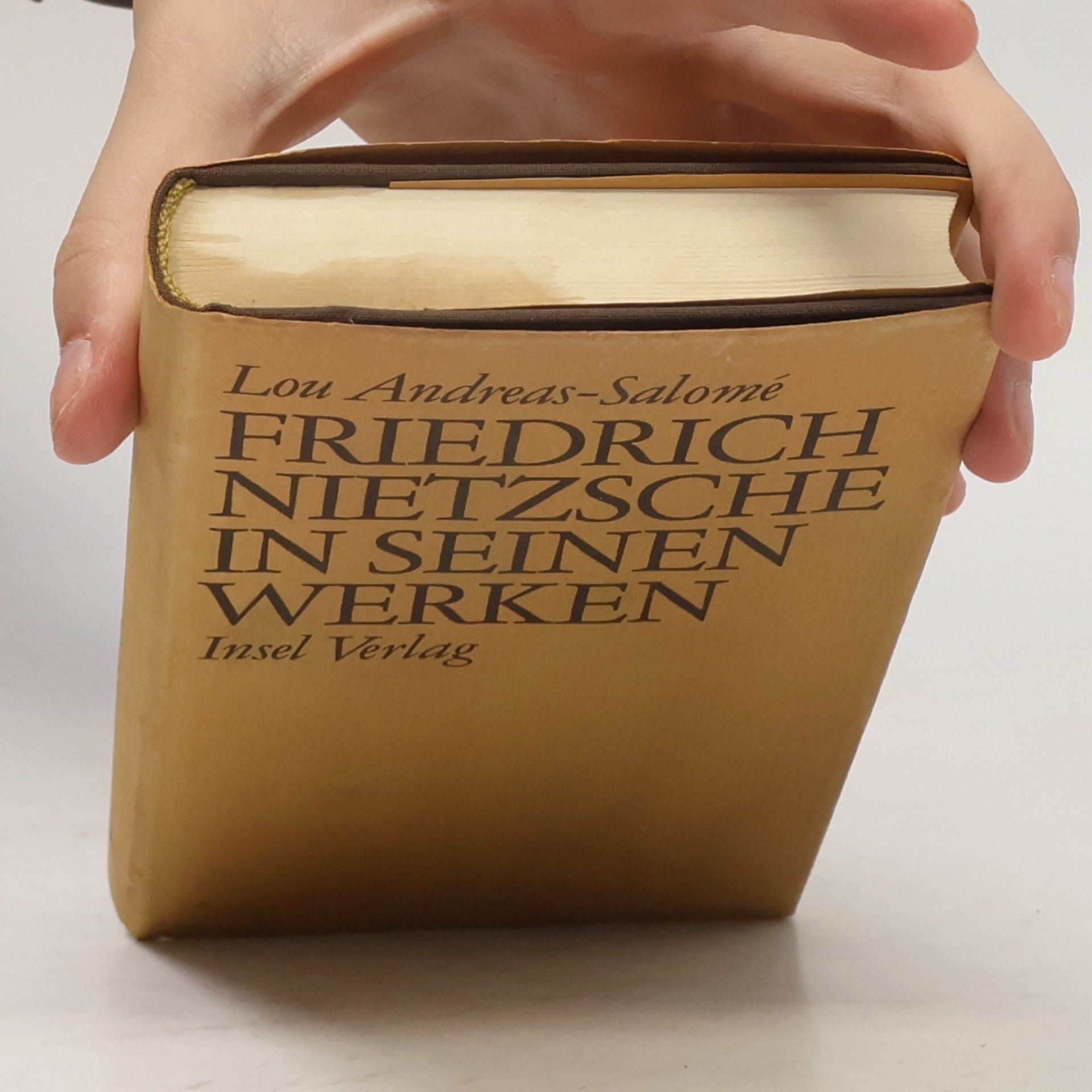 Lou Andreas-Salomé Friedrich Nietzsche in seinen Werken