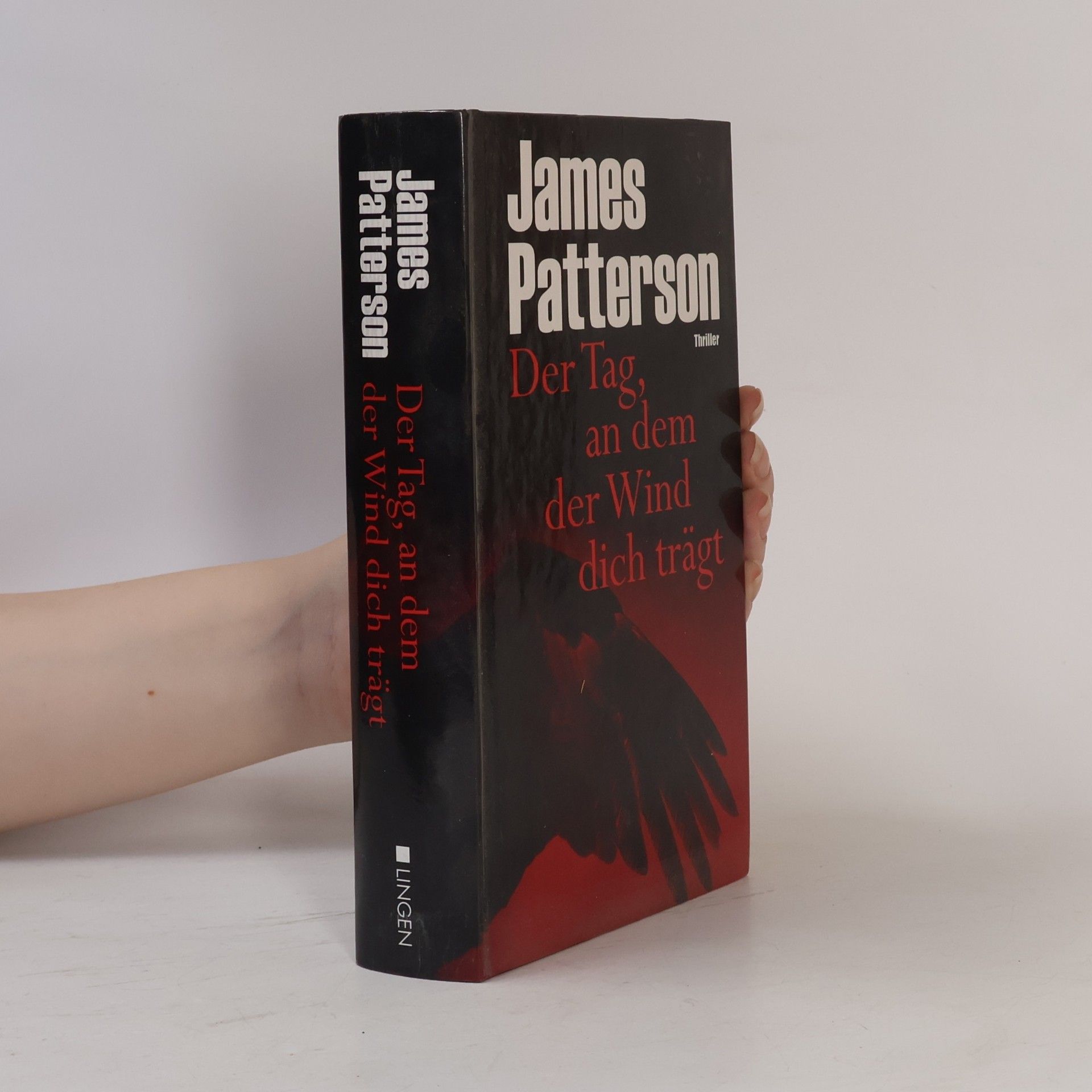 James Patterson Der Tag, an dem der Wind dich trägt