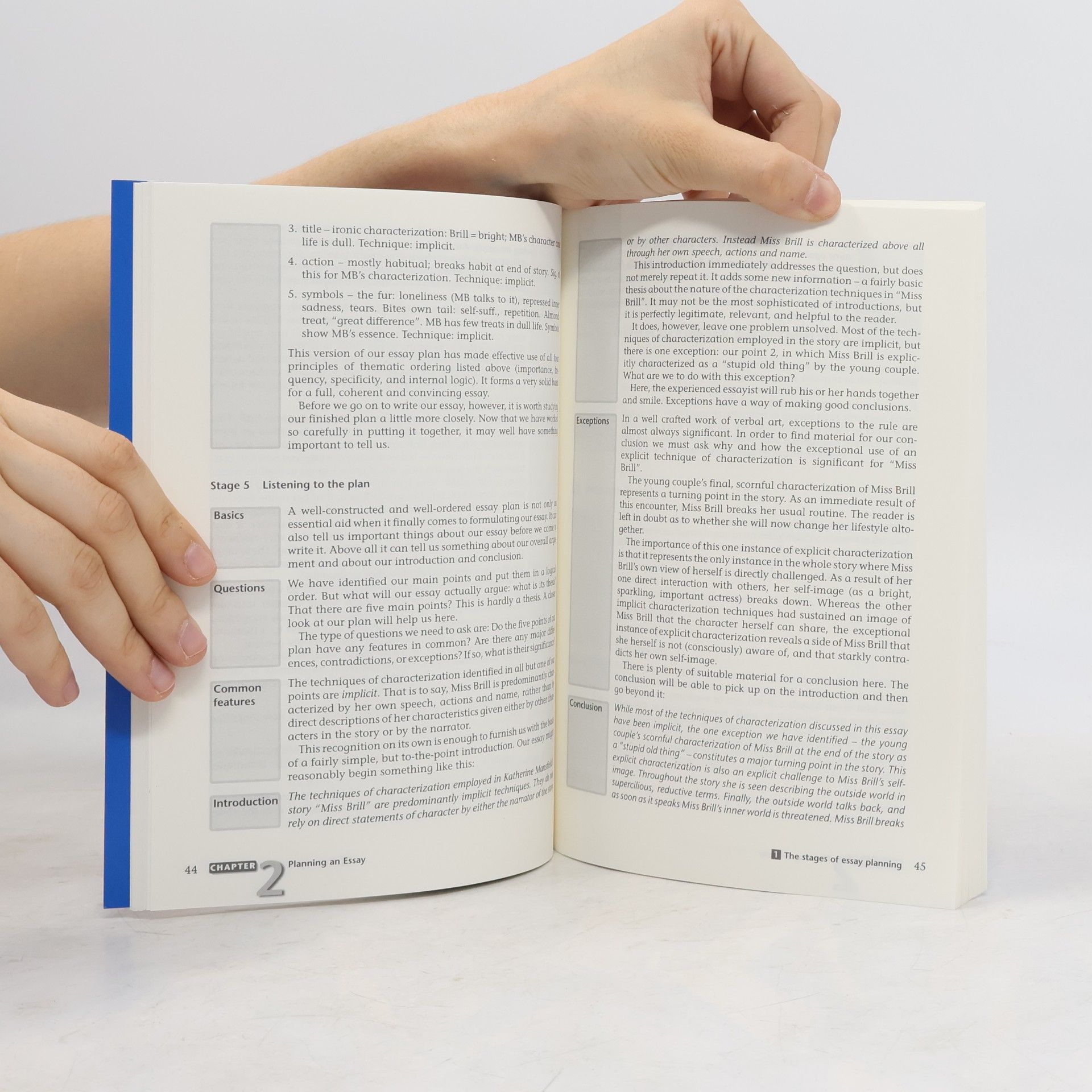 Richard Aczel How to Write an Essay