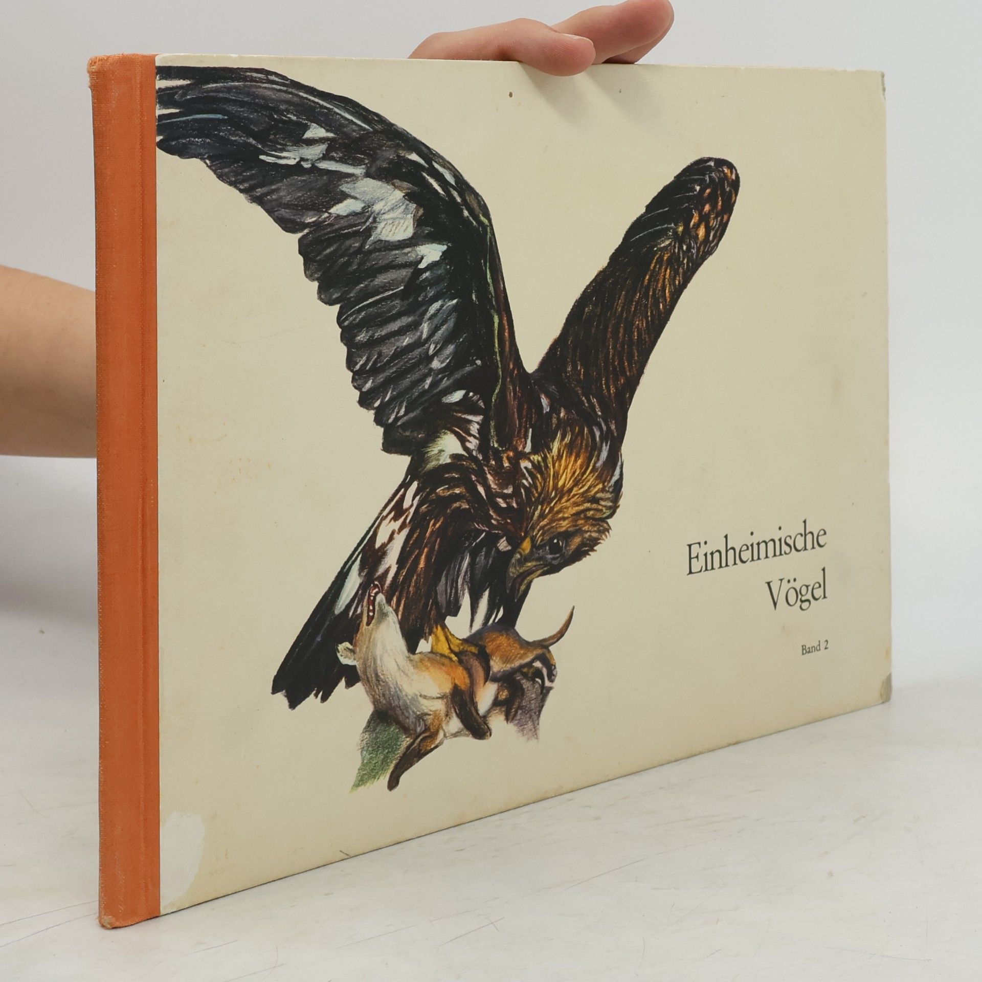 Stephan Hüttenmoser Einheimische Vögel 2