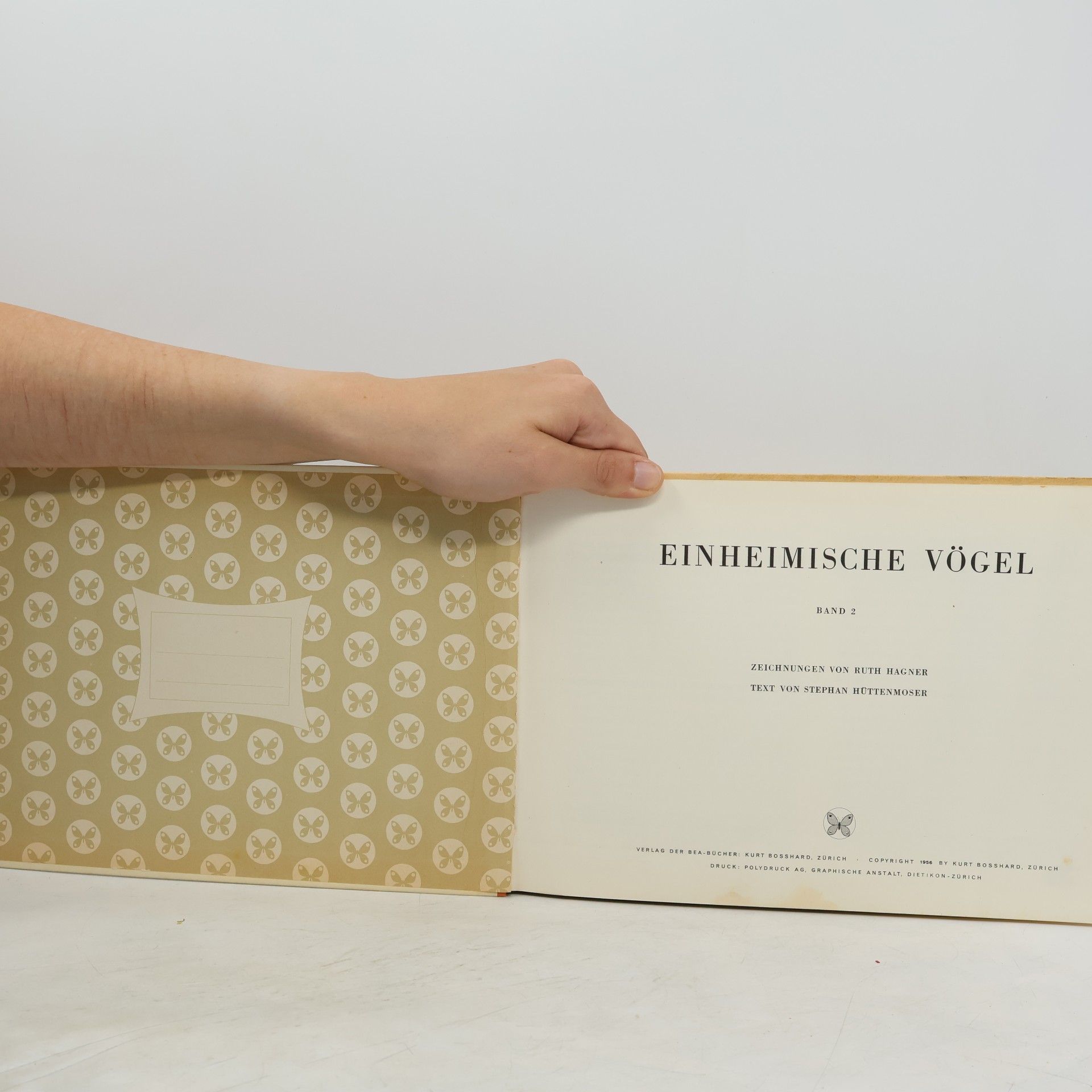 Ruth Hagner Einheimische Vögel 2
