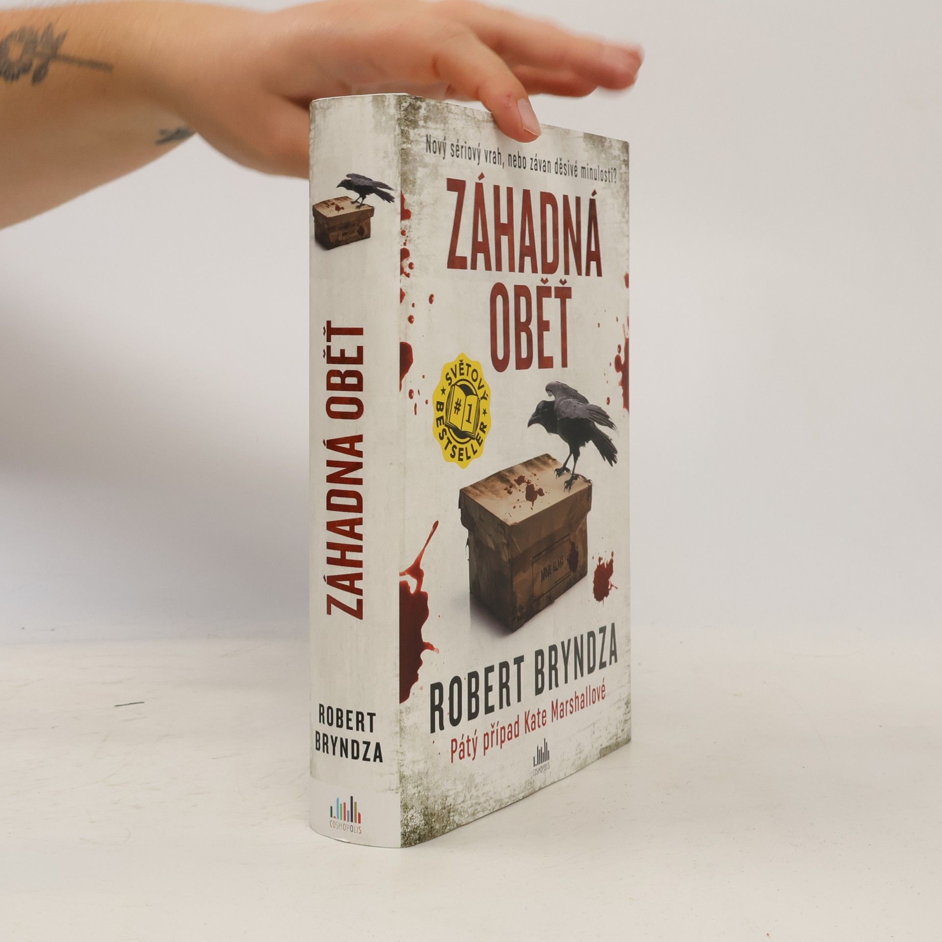 Robert Bryndza Záhadná oběť